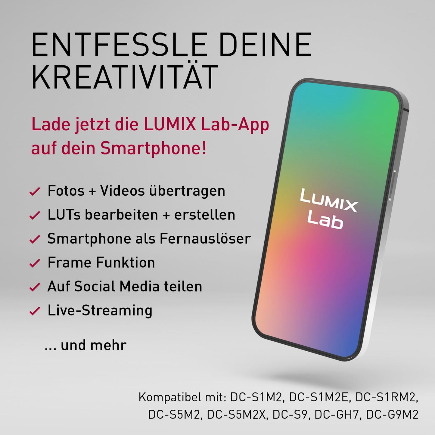 Panasonic Lumix DC-S9HE-K Full Frame Mirrorless Camera, Open Gate Vlogging, 24.2MP, 6K/4K, 779-point PDAF, Image Stabilization, LUT, 5GHz Wi-Fi, Black, 28-200mm Lens