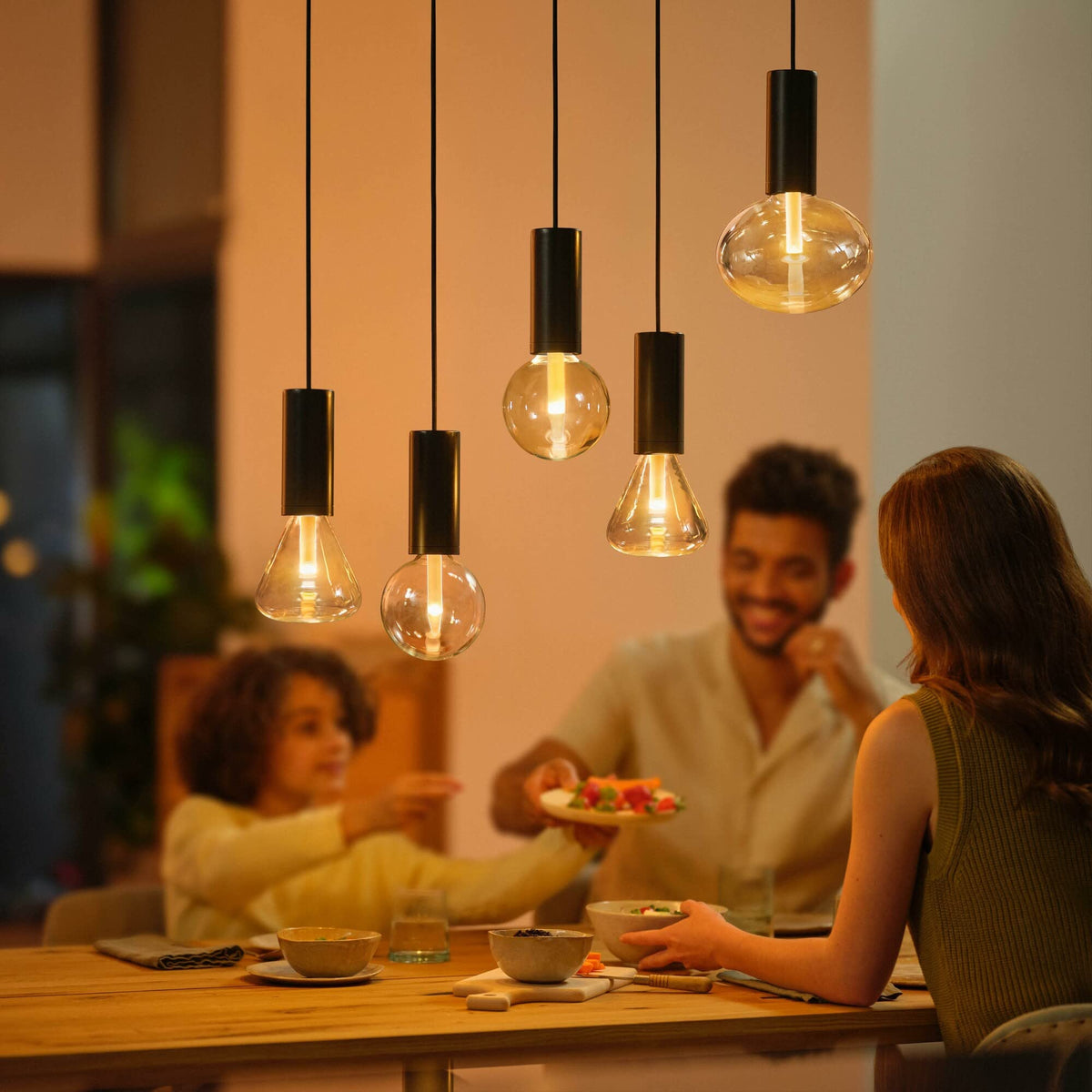 Philips Hue Lightguide Cord with E27 Socket, Black - 929003152101