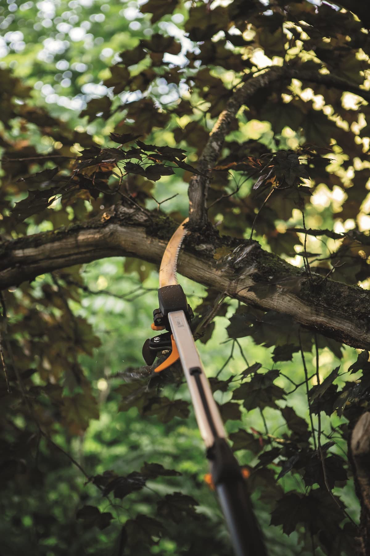 Fiskars cutting giraffe set, 2 pieces, bypass telescopic cutting giraffe UPX86 (length 2.4 - 4 m) and tree saw for bypass telescopic cutting giraffe UPX86 and UPX82 (length: 46 cm), 1077330
