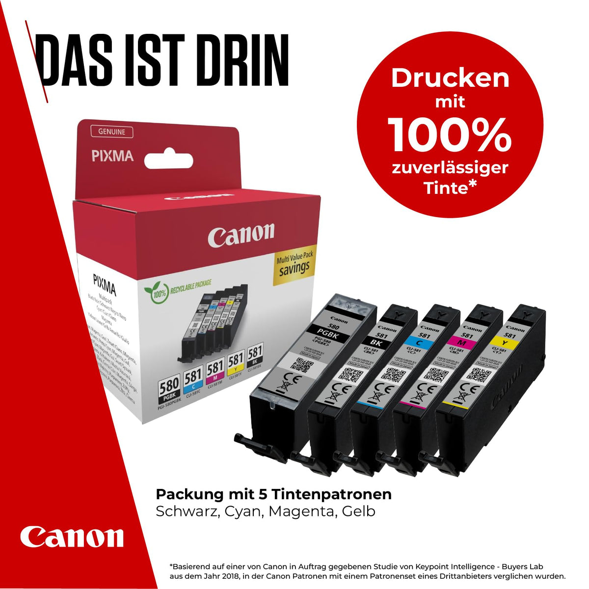 Canon PGI-580 + CLI-581 Original Printer Cartridges Multipack - 2078C008
