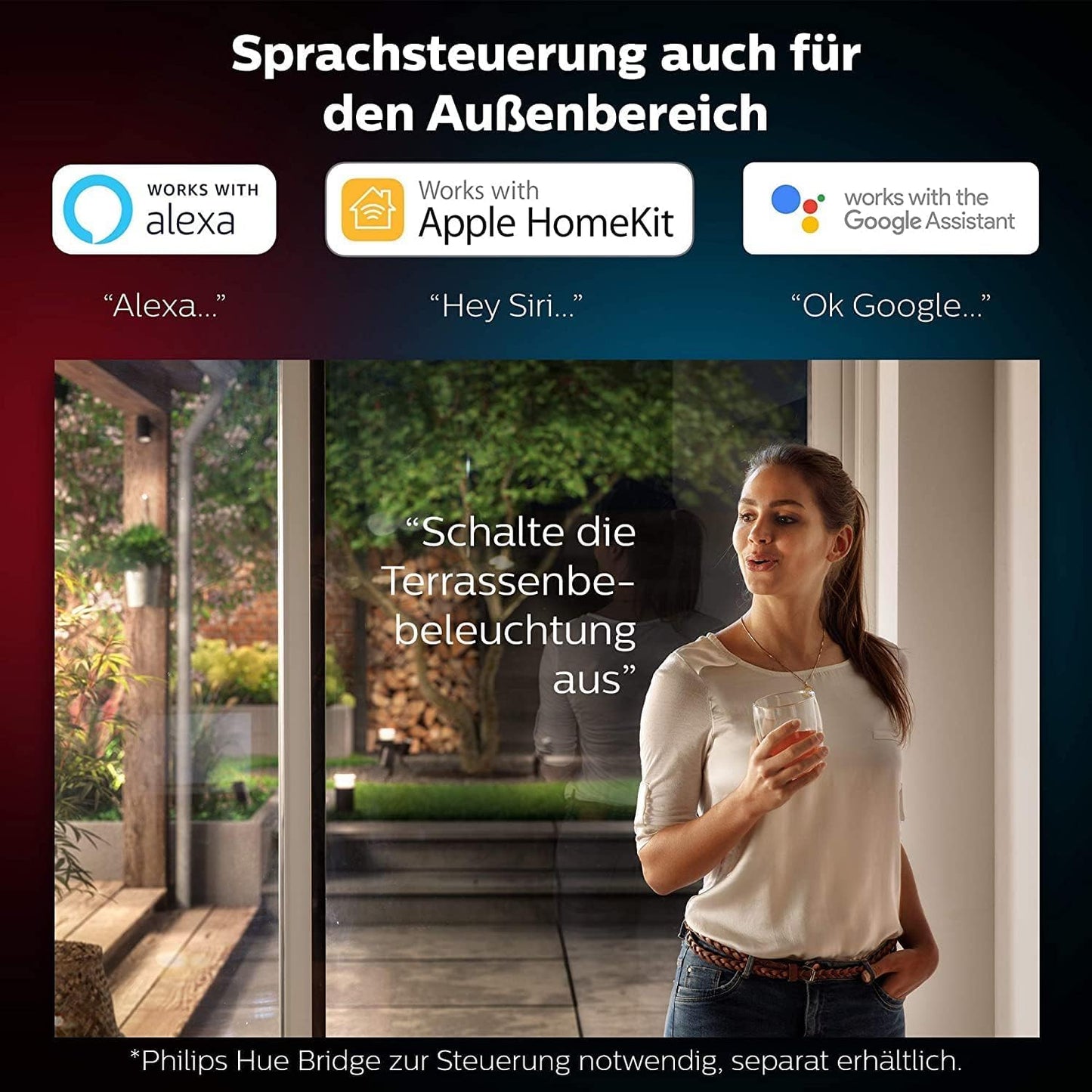 Philips Hue White and Color Ambiance LED outdoor wall light Resonate, dimmable, up to 16 million colors, controllable via app, compatible with Amazon Alexa (Echo, Echo Dot), silver - 915005843001