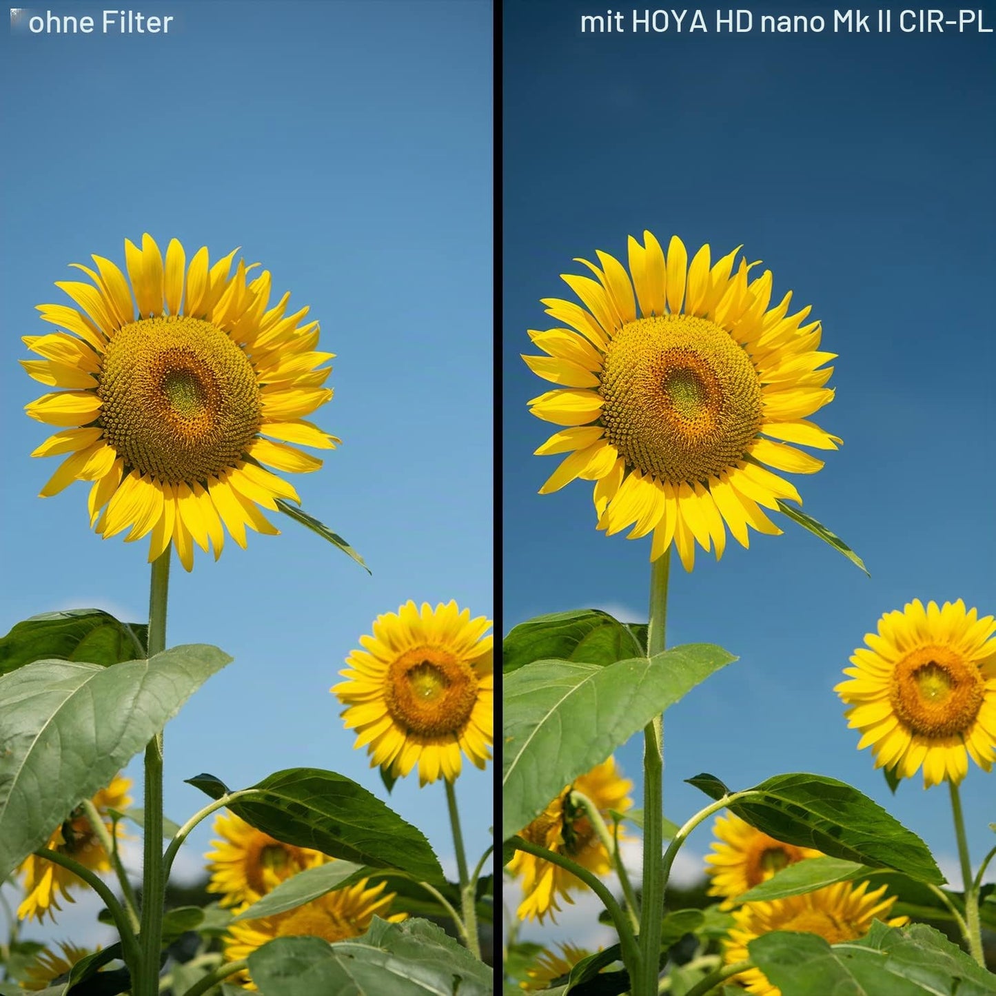 Filter Hoya HD Nano MkII CIR-PL 55mm - YYP4155