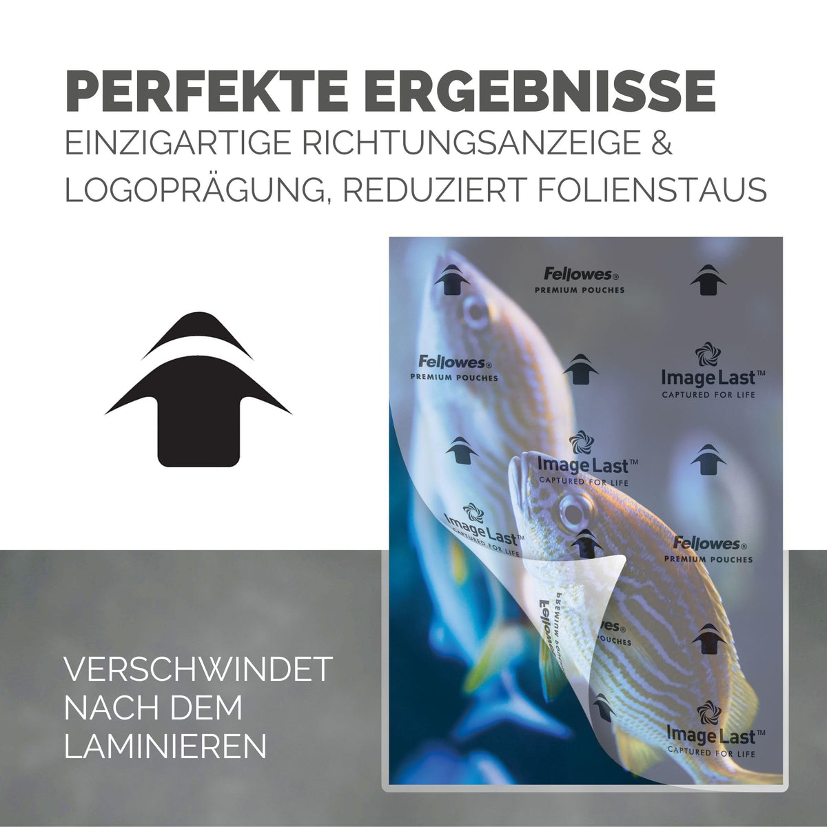 Fellowes Laminating Sheets A4, glossy, laminating film with 80 mic per side, featuring ImageLast alignment aid, for hot lamination, value pack with 500 high-quality laminating sheets (5 packs of 100 sheets each). - 5306127