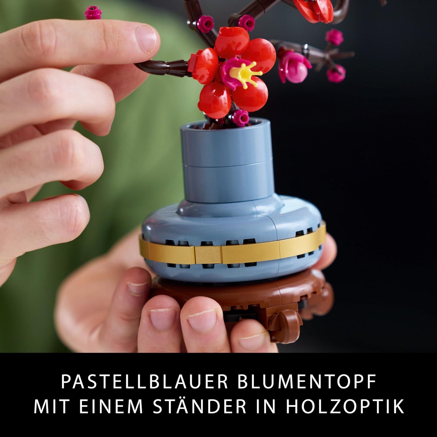 LEGO Botanicals Plum Blossom - Easy-care flower decoration from the Botany collection - Creative building set for adults - Relaxing activity - Collectible artificial plant 10369
