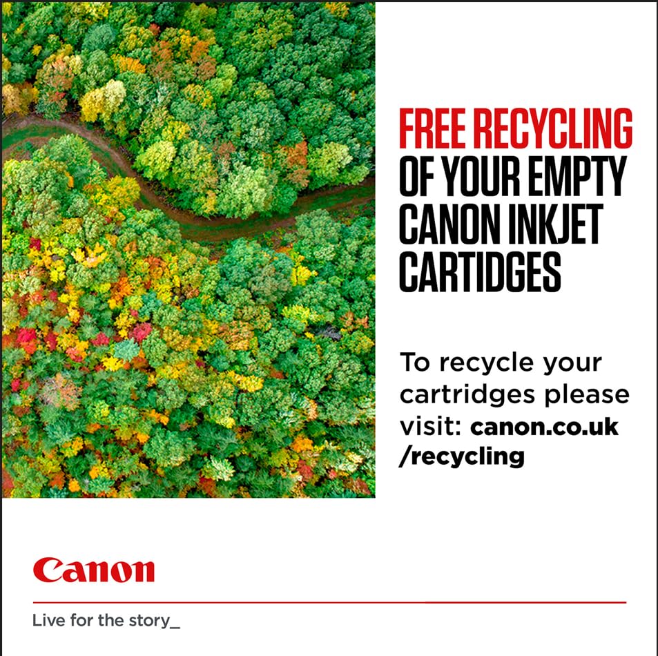 Canon Tinte - PG-545 Original-Tintenpatrone Schwarz