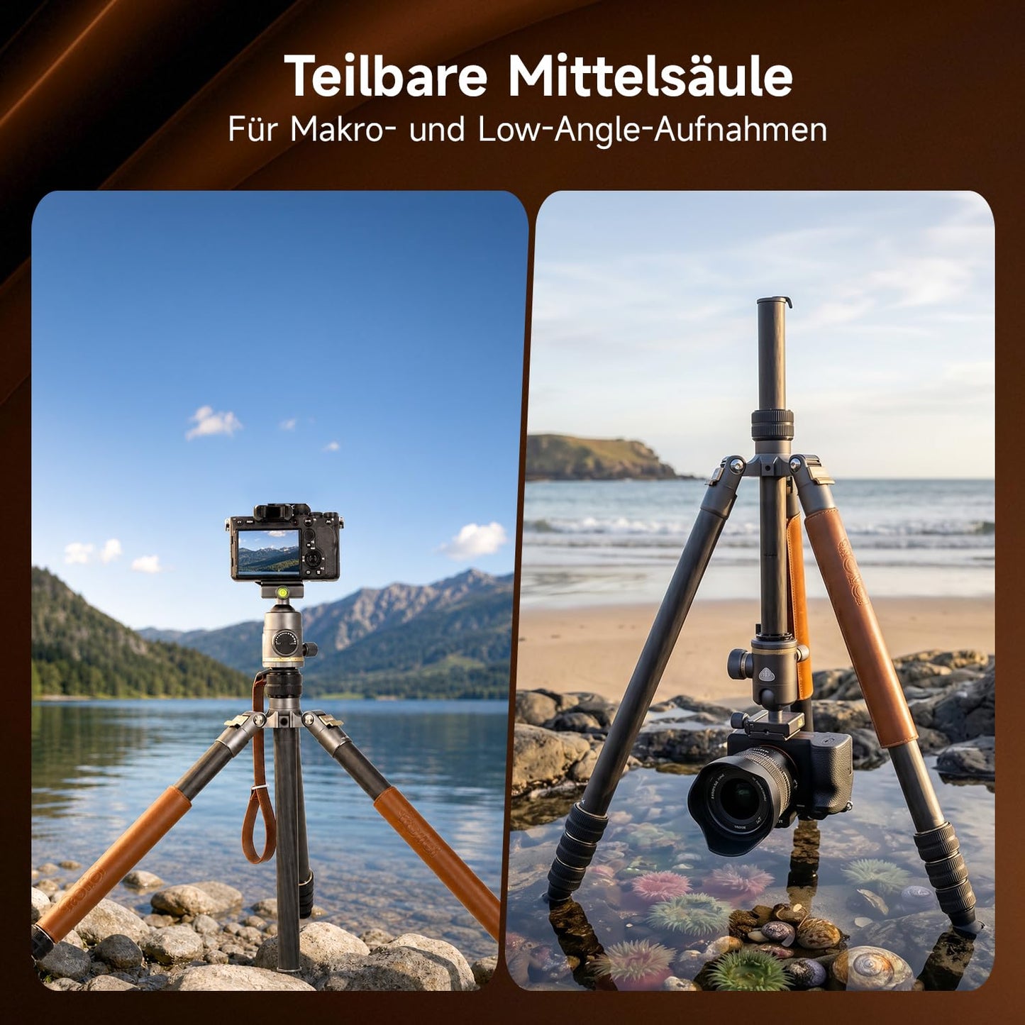 Rollei Camera Tripod C6i Carbon Heritage 174cm Tripod Camera 360° Ball Head Arca Swiss Compatible Tripod with Monopod Function Photo Tripod for DSLR & Smartphone, Camera Tripod Camera Tripod - 21662