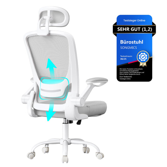 SONGMICS ergonomic office chair, swivel chair with mesh, lumbar and headrest, rocker function, 53 cm seat, folding armrests, study and bedroom, students, dove gray OBN047G01 - OBN047G02