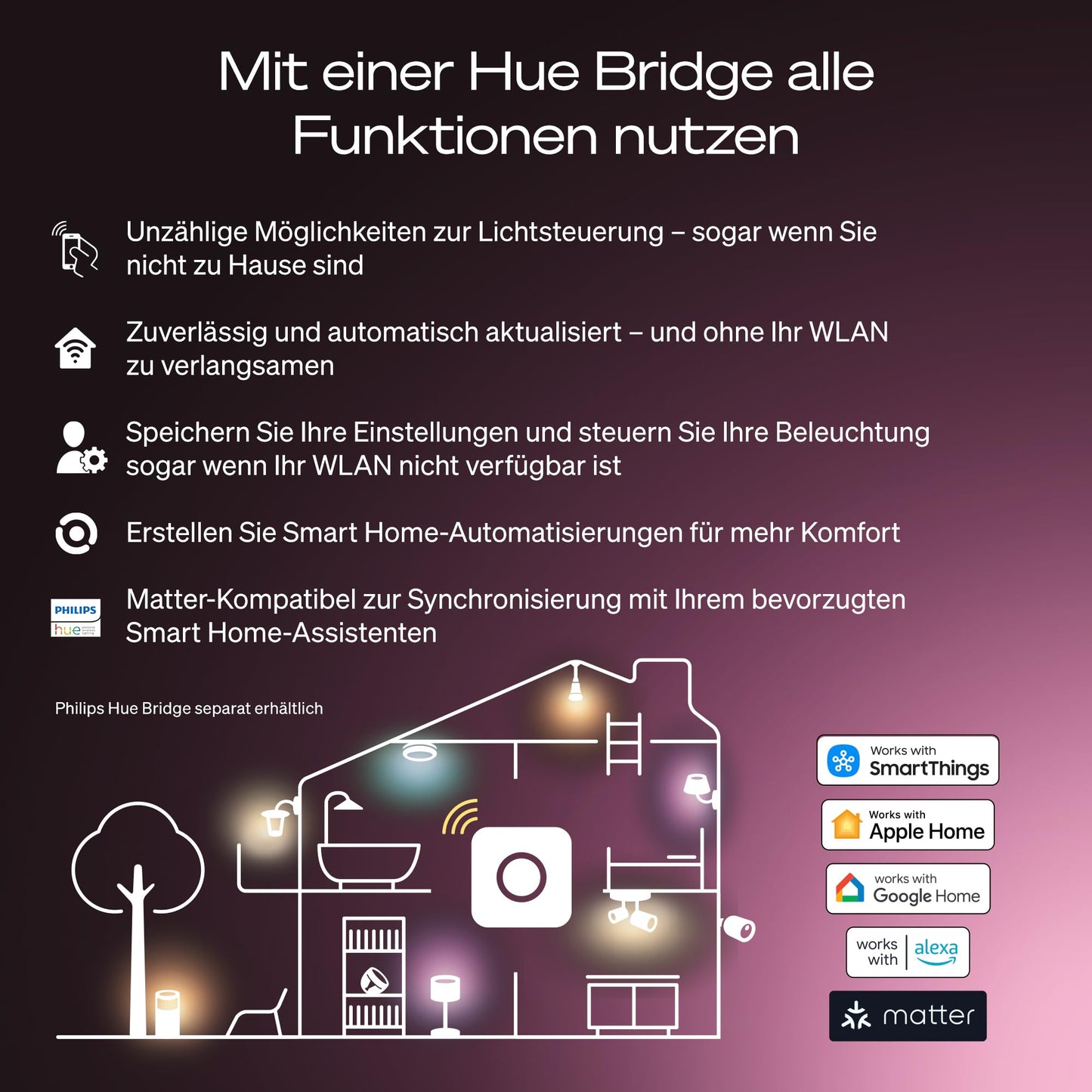 Philips Hue Smart LED A60 Lampe - 929003854808