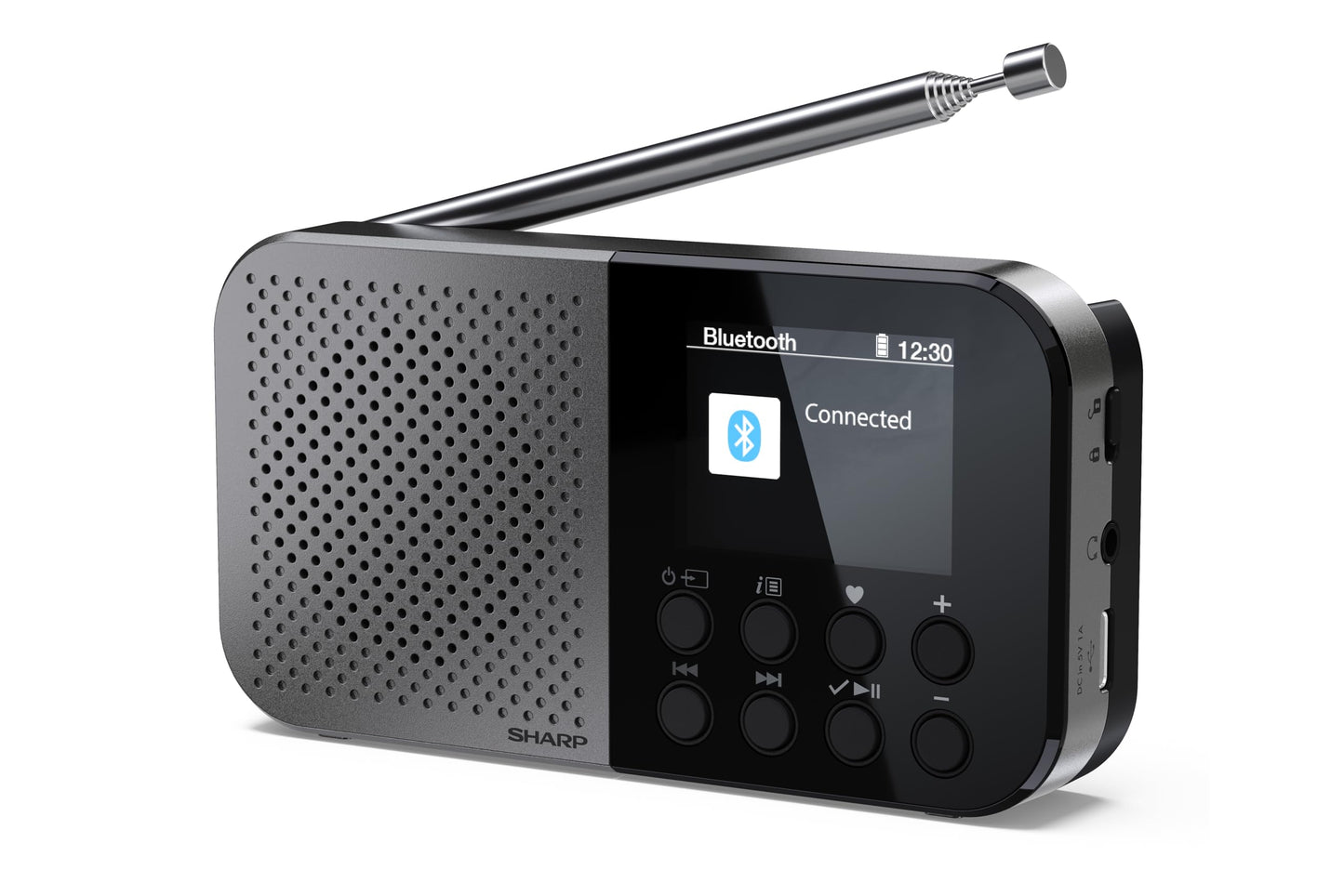 SHARP DR-P520(GY) Osaka Portable Digital Radio - DAB+, DAB, FM Radio with BestTune, 120 Memory Slots, Rechargeable Battery, USB-C Charging, Slideshow Function, Compact Handheld Design - Gray