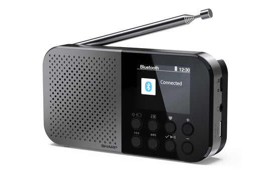 SHARP DR-P520(GY) Osaka Portable Digital Radio - DAB+, DAB, FM Radio with BestTune, 120 Memory Slots, Rechargeable Battery, USB-C Charging, Slideshow Function, Compact Handheld Design - Gray