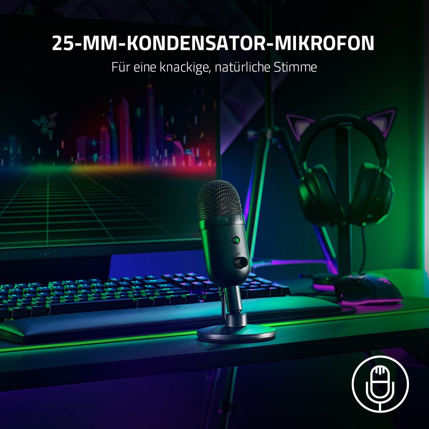 Razer Seiren V2 X Black (RZ19-04050100-R3M1)