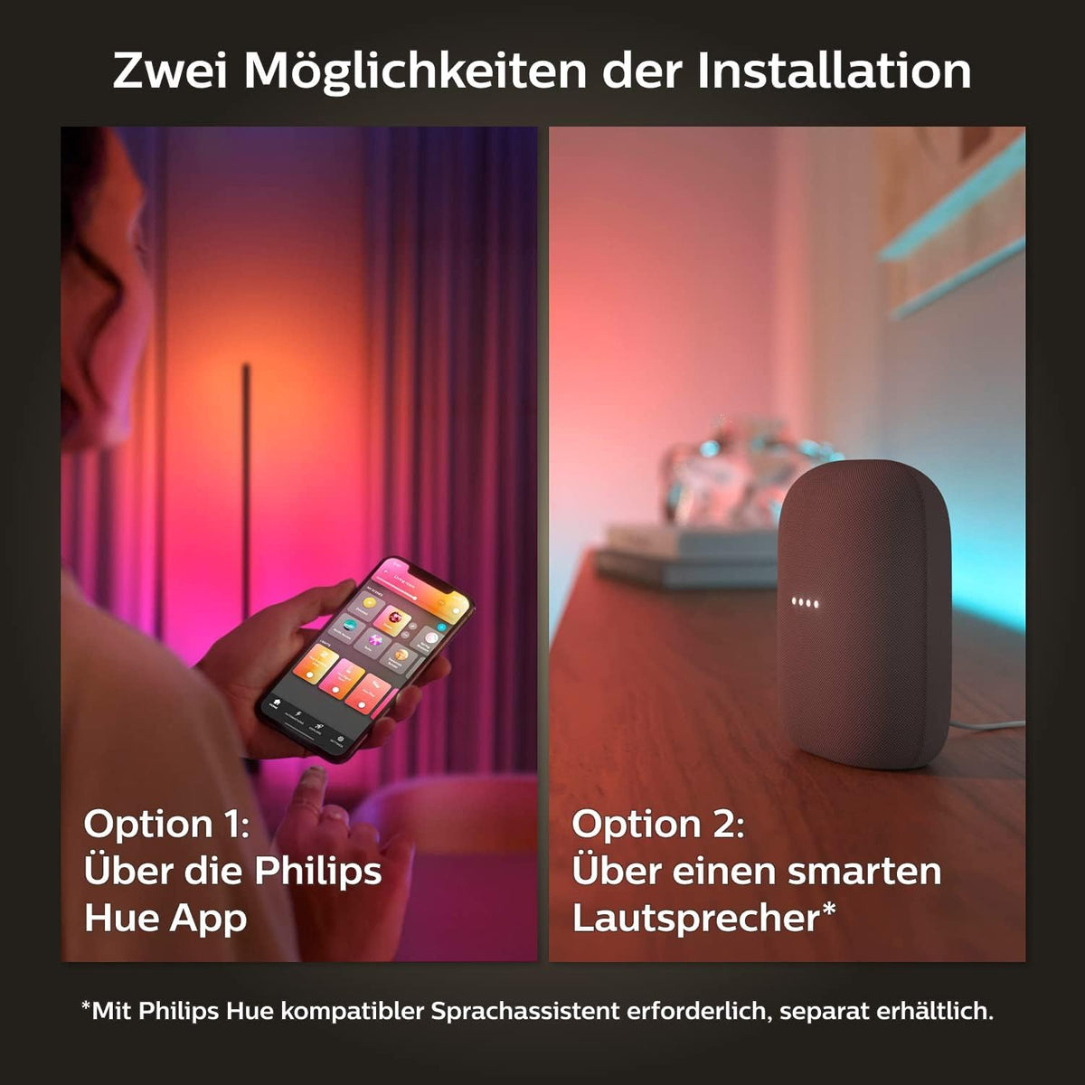Philips Hue Gradient Lightstrip Extension, Ambient Lighting, 1m - 929002995001