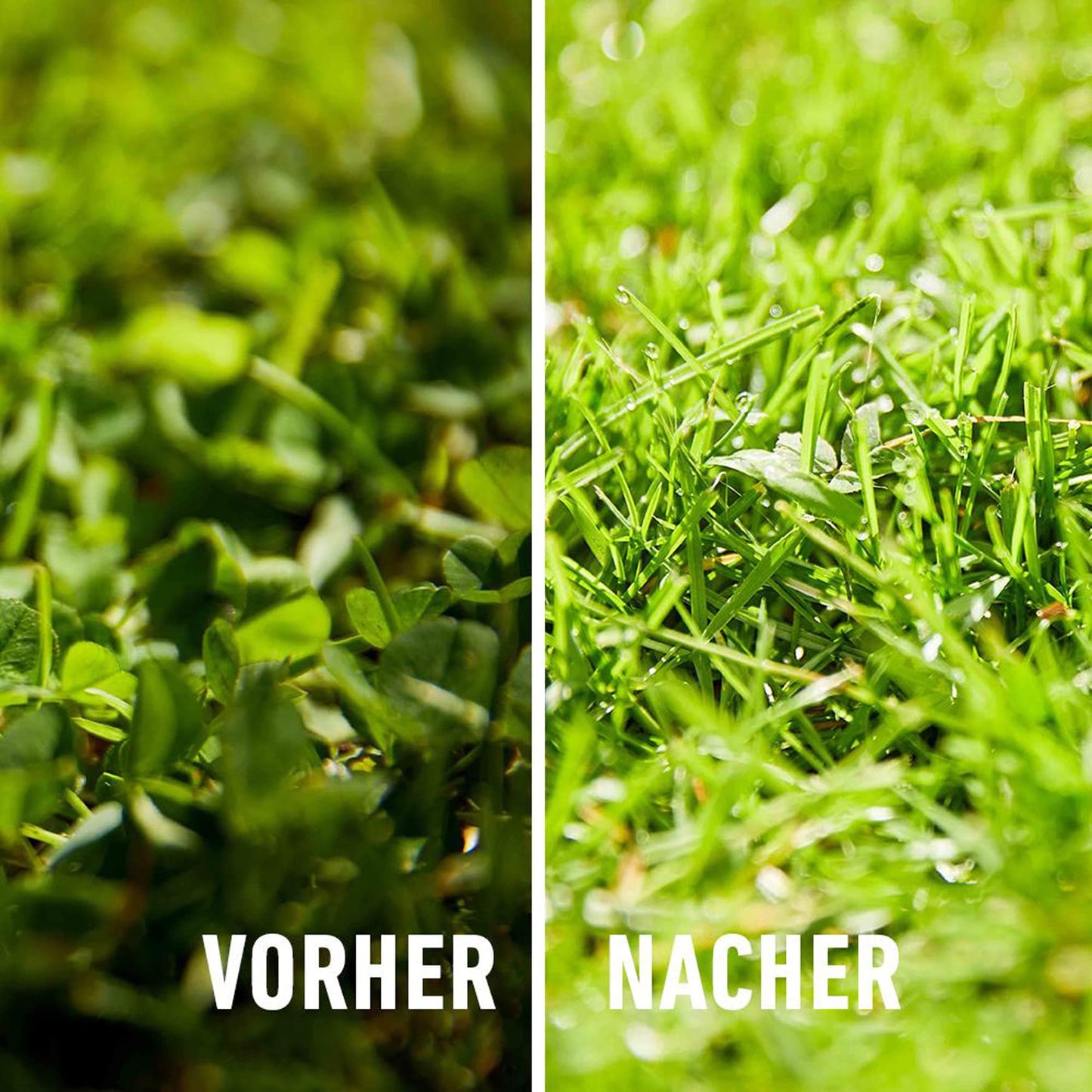 COMPO lawn fertilizer against weeds and moss complete care lawn fertilizer with weed killer, moss killer, 3 months long-term effect 9 kg, for 300m² - 26173