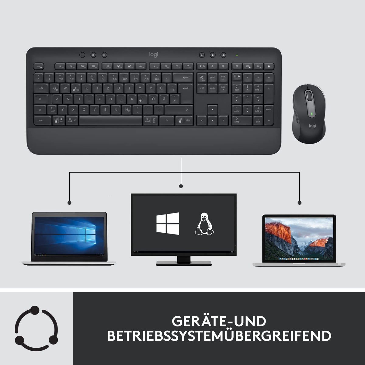 Logitech Signature MK650 Combo for Business - 920-010994