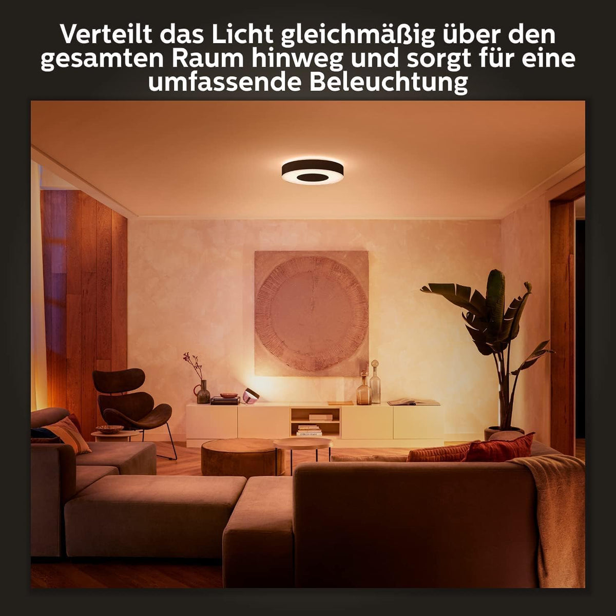 Philips Hue Infuse Plafonieră, Iluminat interior, M, Negru - 915005997301