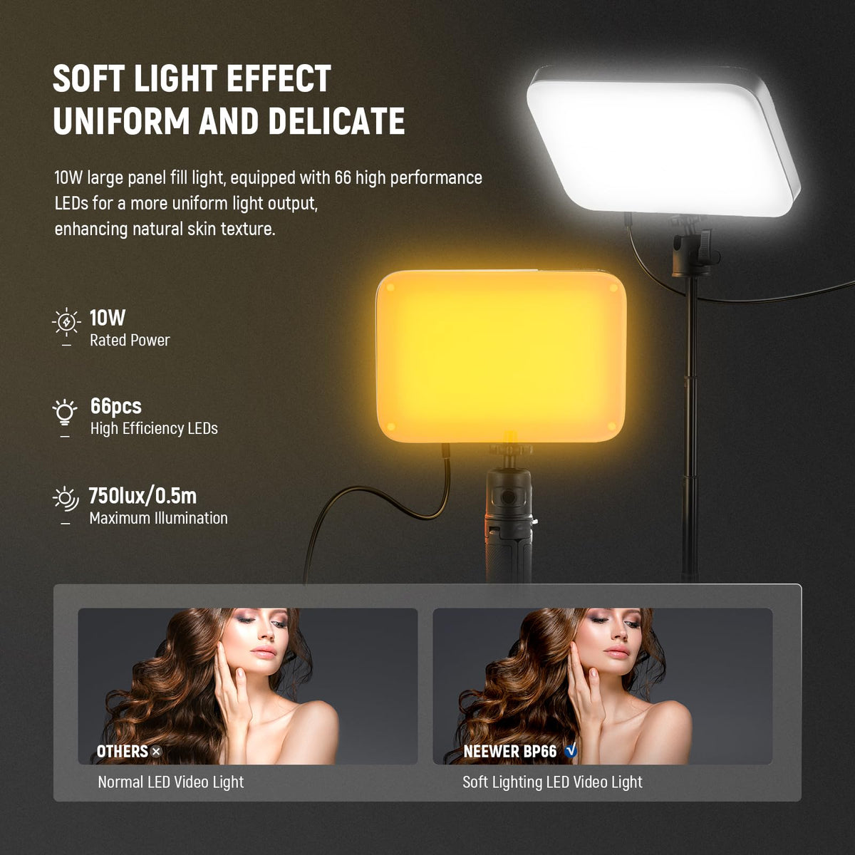 NEEWER Basics BP66 2er Pack LED Video Panel Videolight, Videoconferințălight - 2xBP66