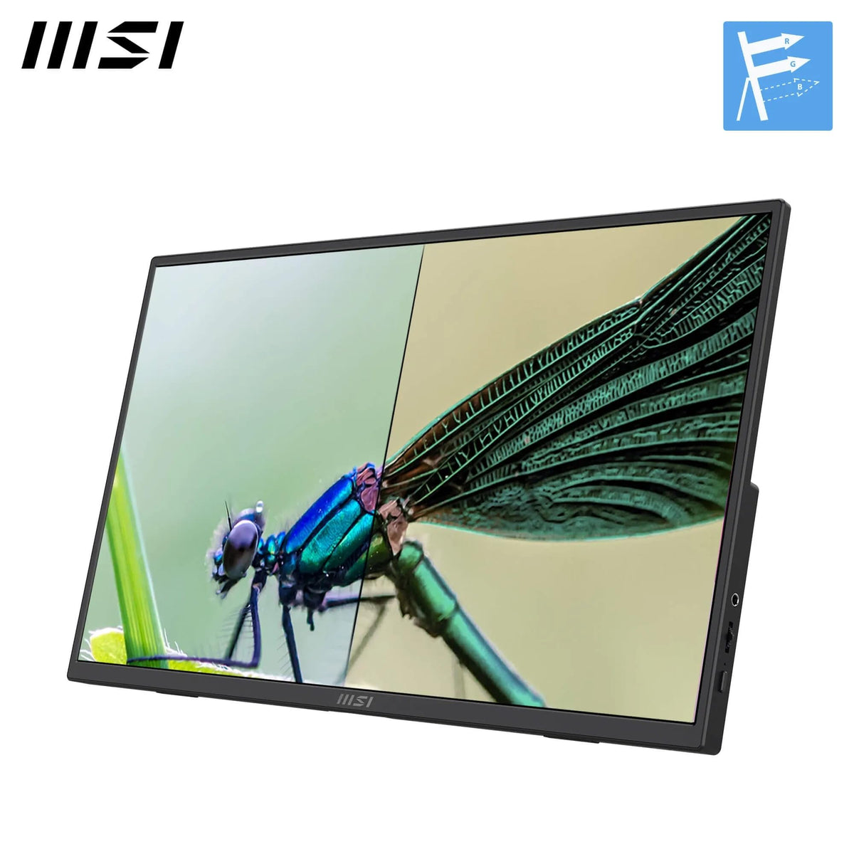 Monitor portabil MSI PRO MP165A E6 de 15.6 inci, FHD, 1920x1080 IPS, 60Hz, 4ms, protecție pentru ochi, difuzor/microfon încorporat, HDMI 2.0b, USB C (15WPD), montare Vesa, negru - 4711377390163