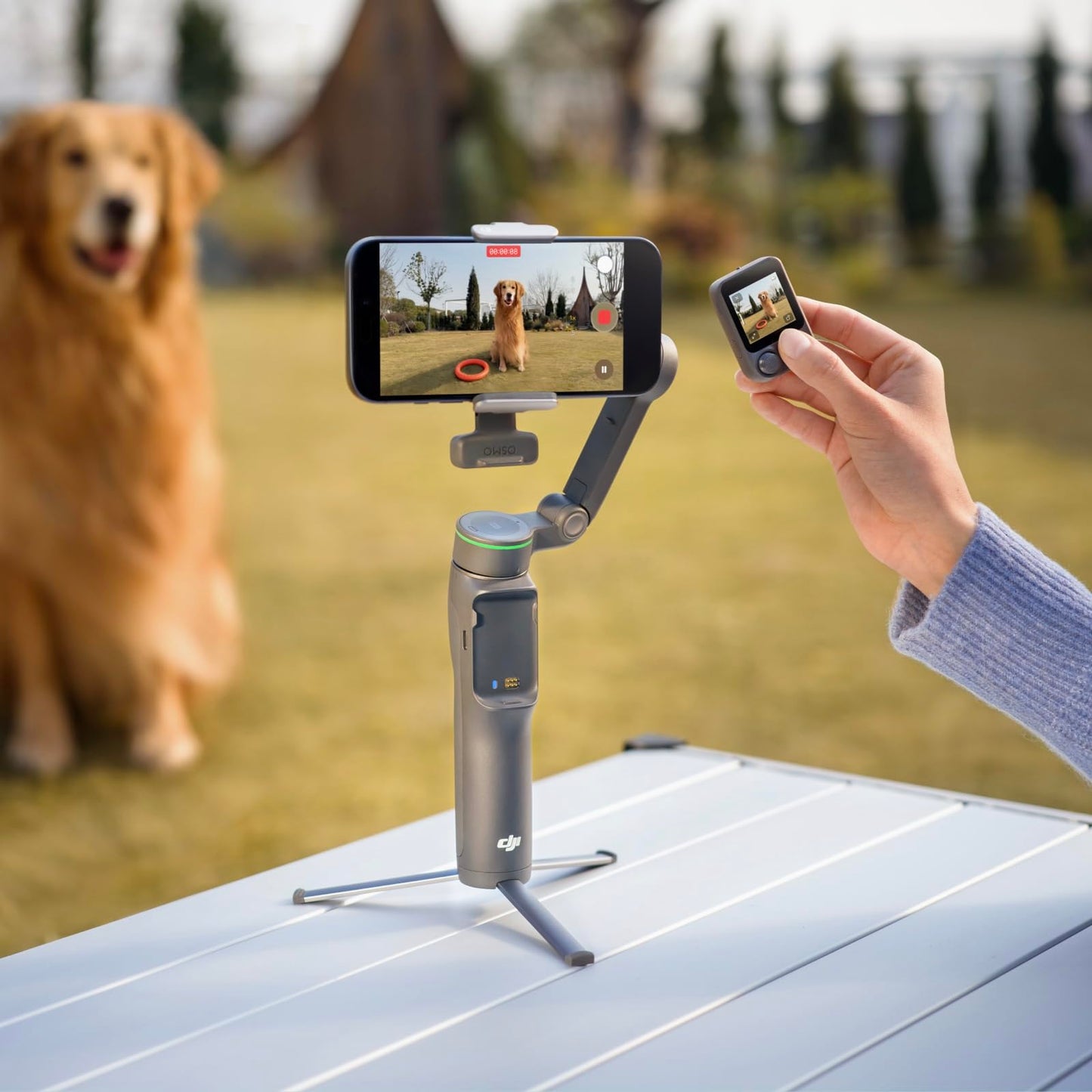 Osmo Mobile 8P Gimbal Stabilizer for iPhone & Android, Remote Control - 6937224142947