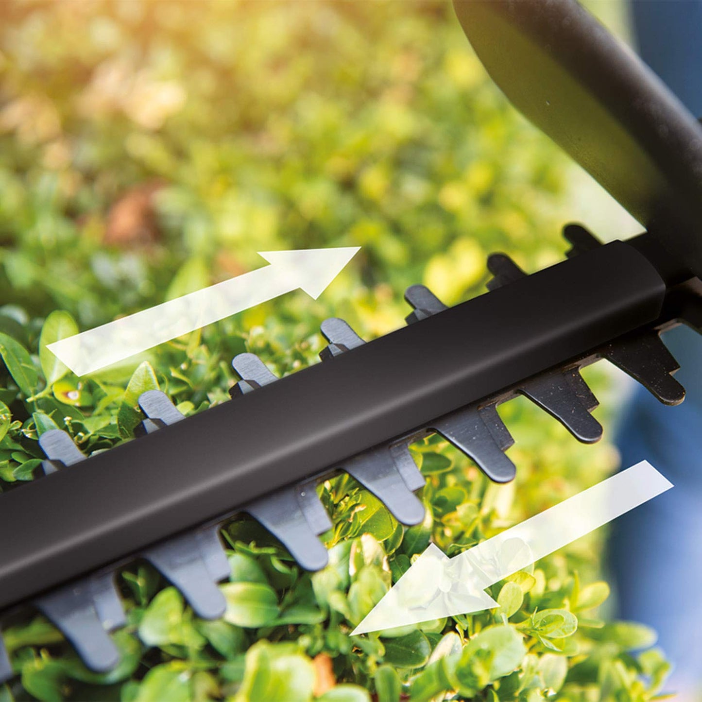 Bosch cordless hedge trimmer EasyHedgeCut 18-45 (without battery/charger) - 0600849H03