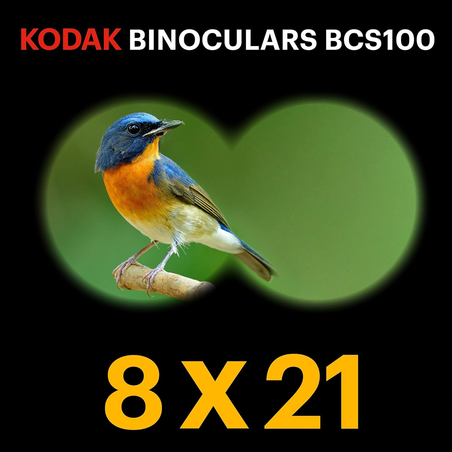 KODAK Binoculars for Children BCS100 - Compact Binocular Binoculars for Children, with Soft Rubber, Ergonomic, with Carrying Strap and Carrying Case, 8x Zoom - Blue - 3760265542574