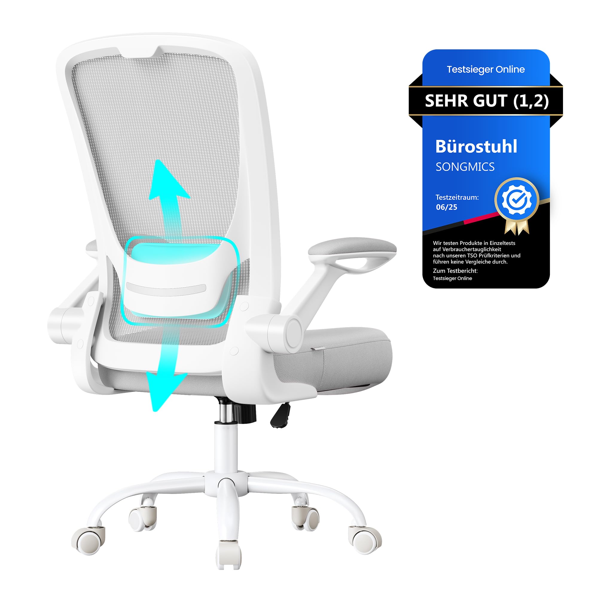 SONGMICS ergonomic office chair, swivel chair with mesh, lumbar and headrest, rocker function, 53 cm seat, folding armrests, study and bedroom, students, light gray OBN037G02 - OBN37BK