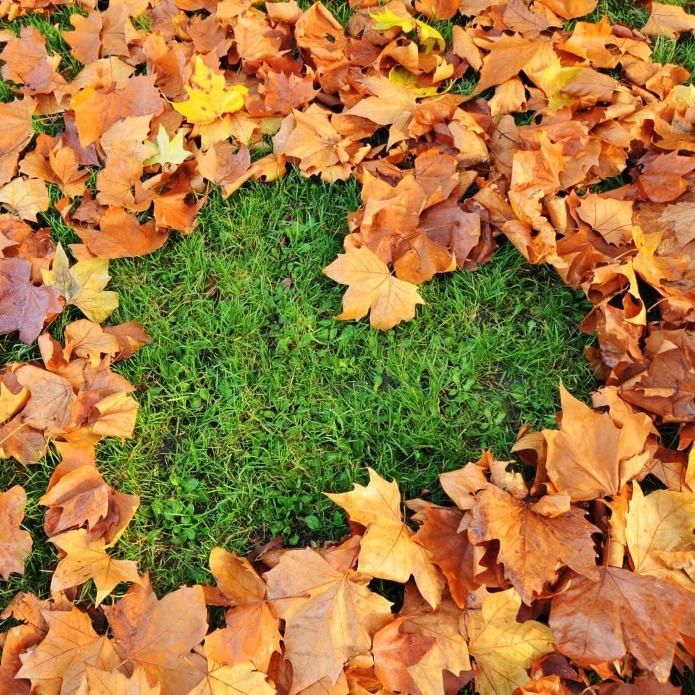 Substral Naturen Autumn Lawn Fertilizer Organic 16kg 430m² strengthens the lawn - 88740