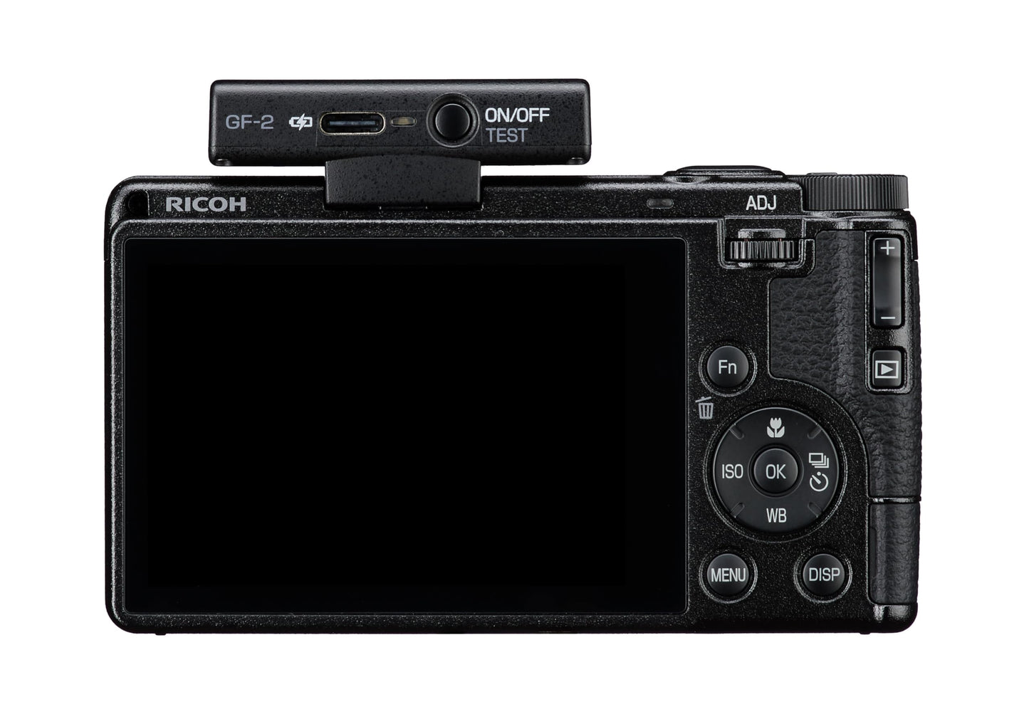 Ricoh Compact Flash GF-2 - 35306