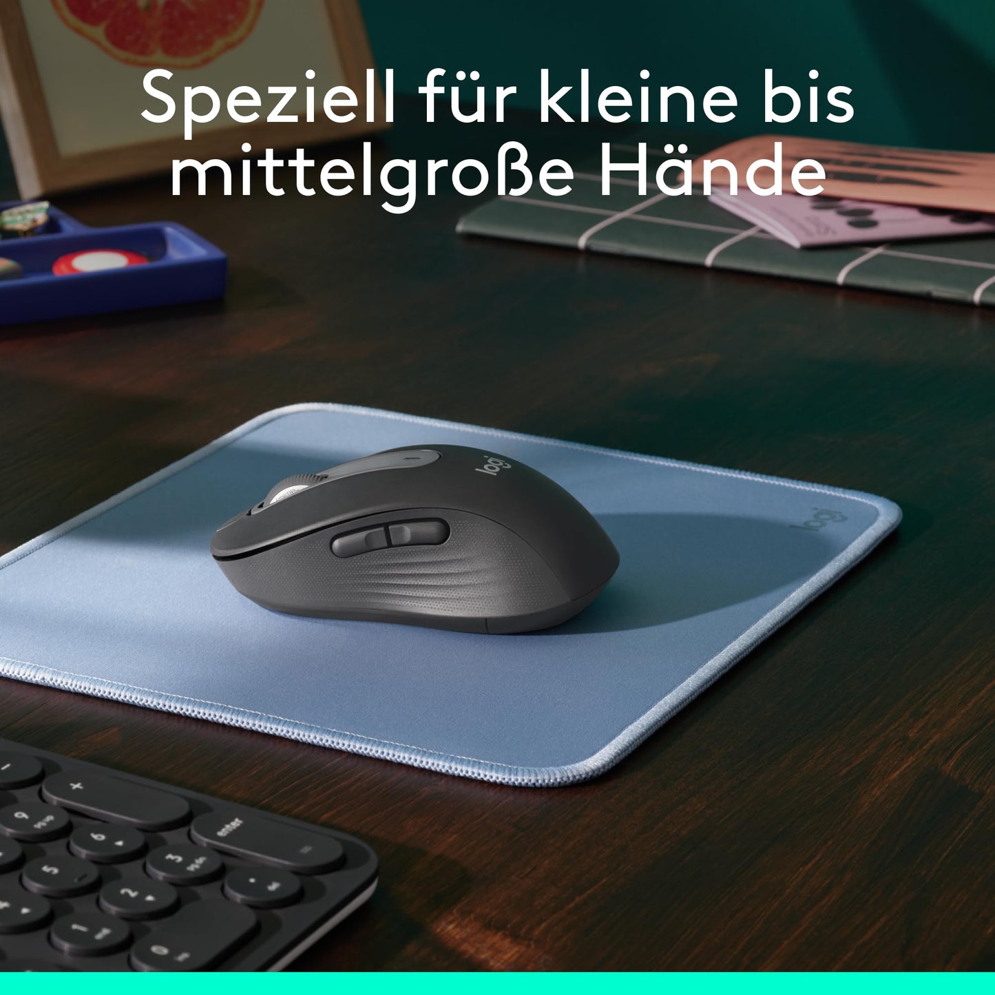 Logitech Signature M650 Graphite (910-006253)