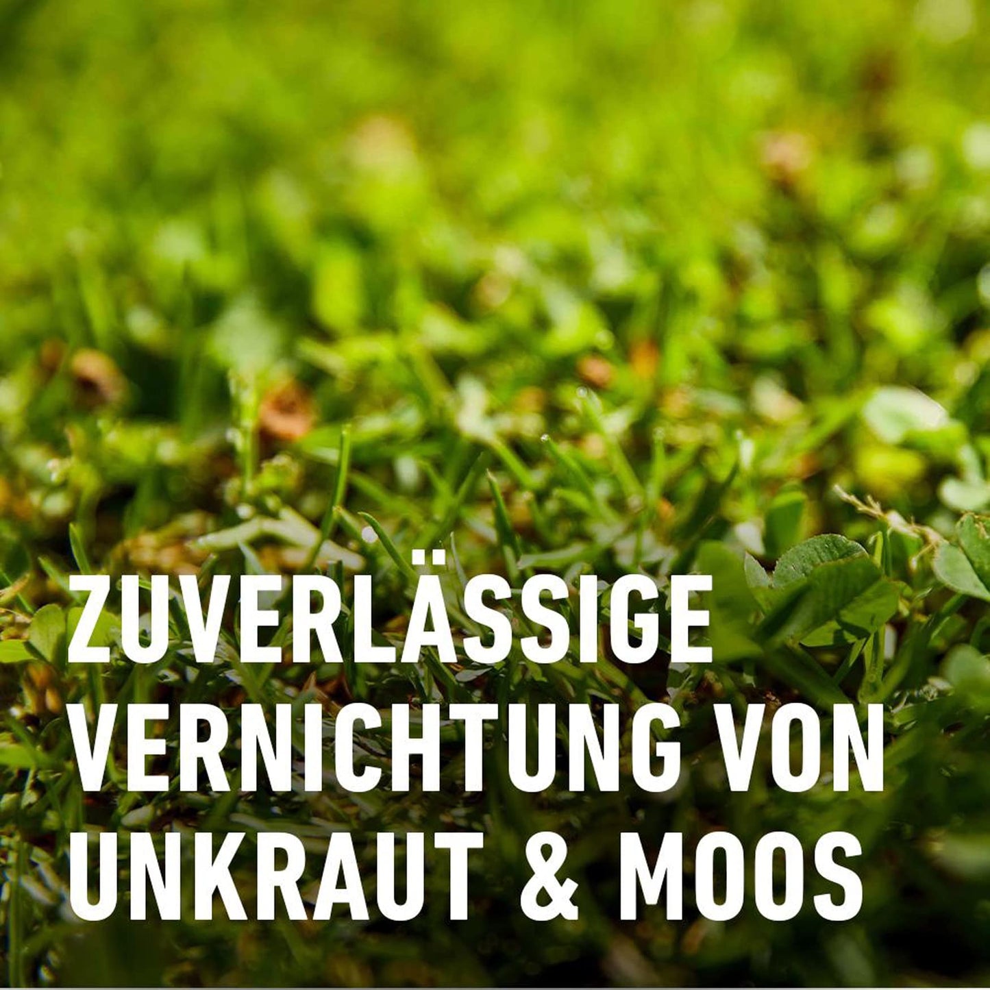 COMPO lawn fertilizer against weeds and moss complete care lawn fertilizer with weed killer, moss killer, 3 months long-term effect 9 kg, for 300m² - 26173