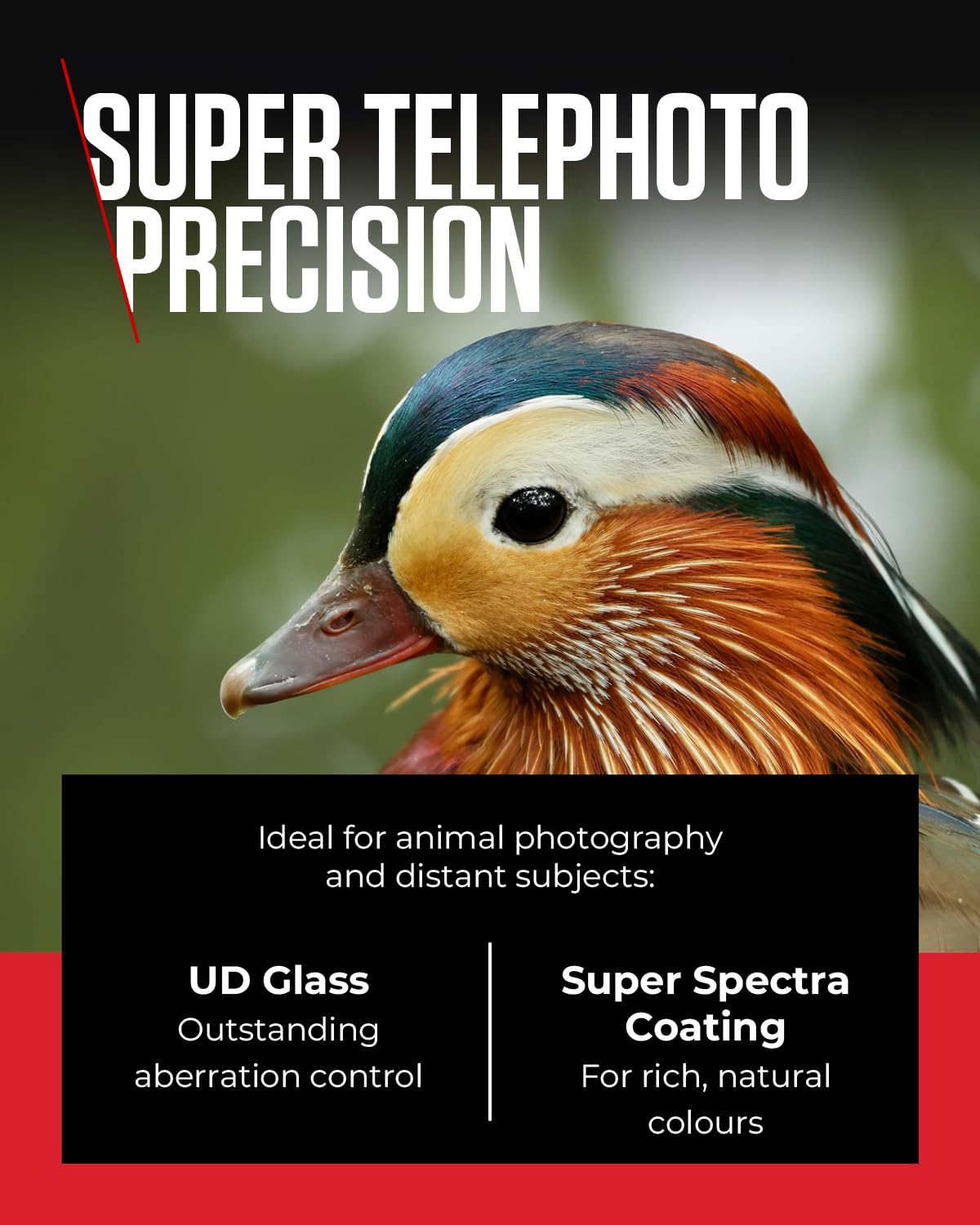 Canon RF Lens 100-400mm F5.6-8 IS USM – Tele-Zoom with 5.5-stop Image Stabilizer for Sports & Nature | Compatible with EOS R System - 5050C005