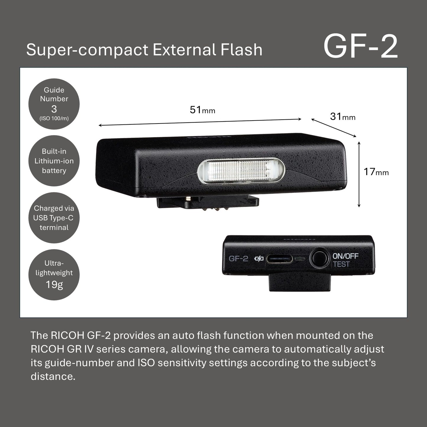 Ricoh Compact Flash GF-2 - 35306