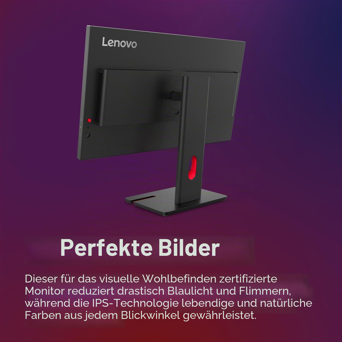 Lenovo TS/ThinkVision 23.8" / FHD/IPS / 16:9 / 250cd/m˛ / 1000:1/99% sRGB - 64A4MATXEU