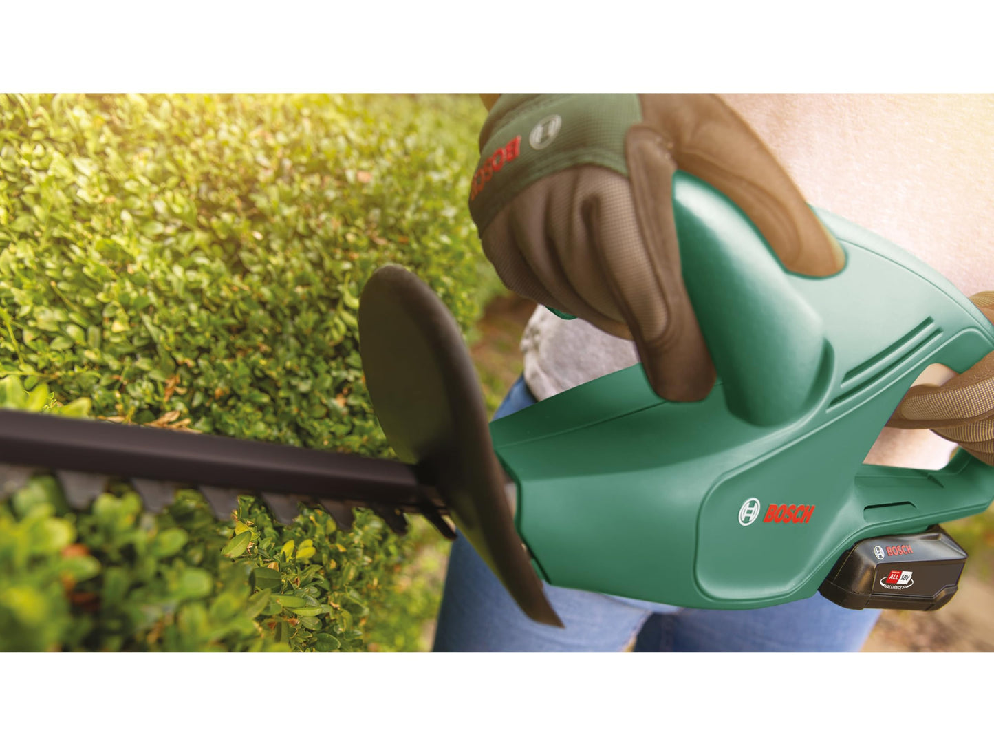 Bosch cordless hedge trimmer EasyHedgeCut 18-45 - 0600849H02