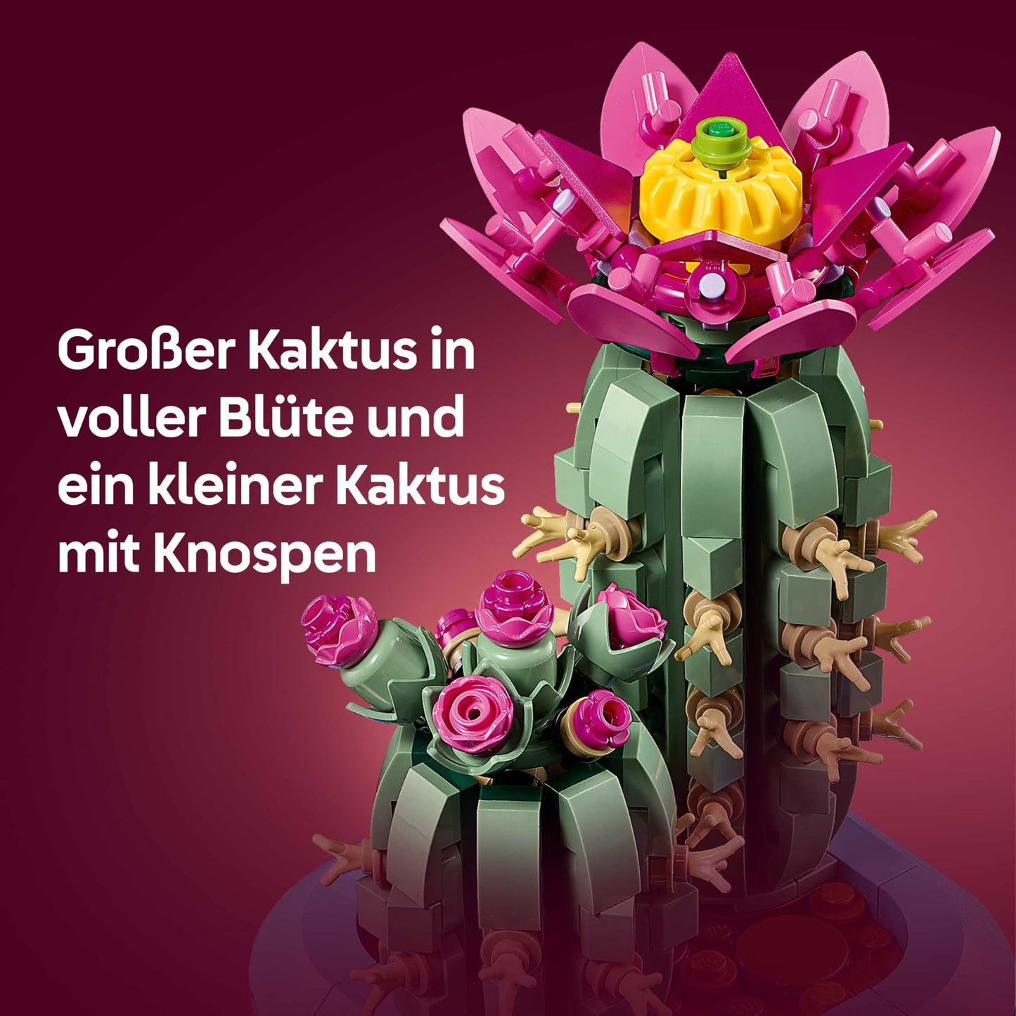 LEGO Botanicals Blooming Cactus - Set with artificial plant with 2 cacti and artificial flowers - DIY decoration - birthday gift idea for girls aged 9 and up & adult plant lovers - 11509