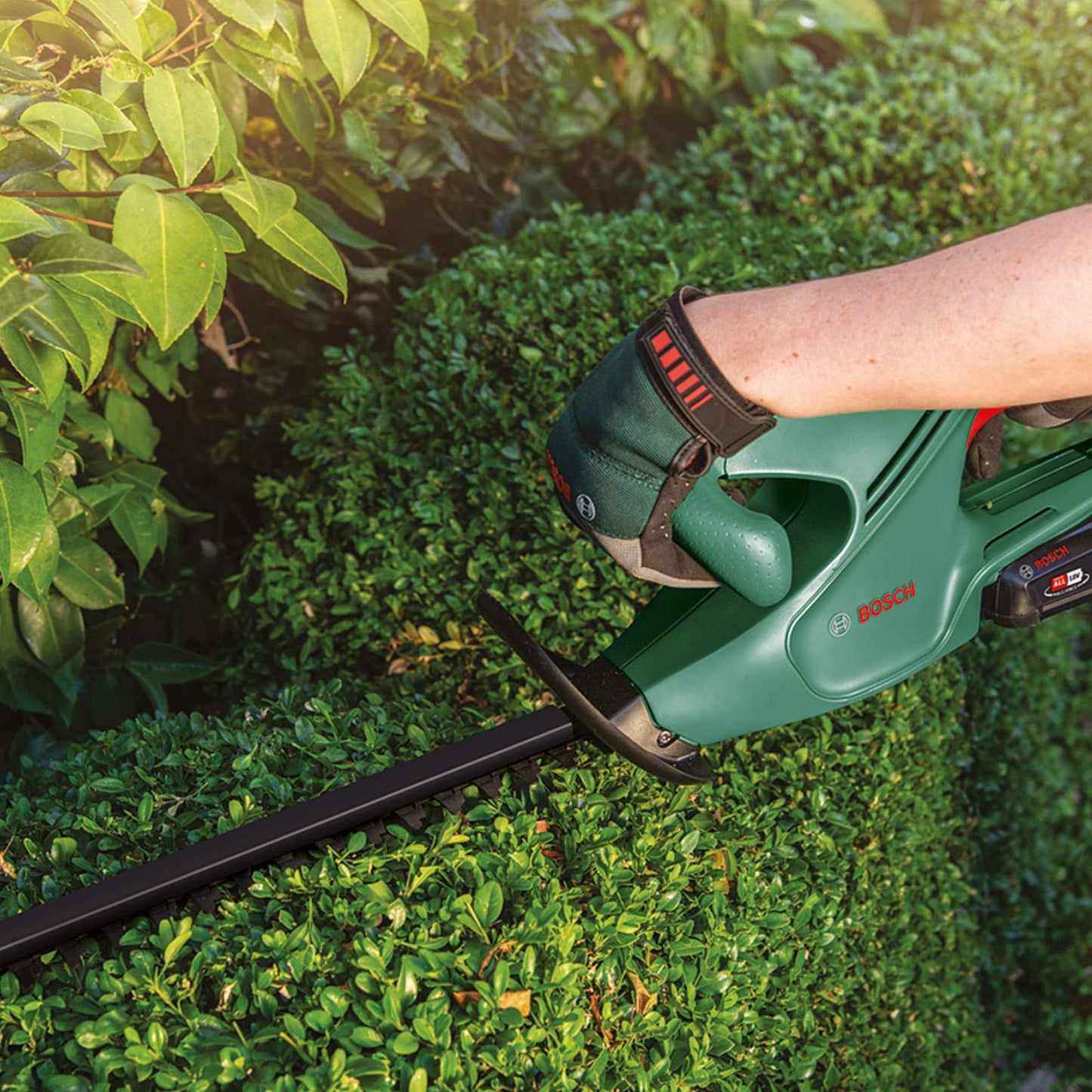 Bosch cordless hedge trimmer EasyHedgeCut 18-45 (without battery/charger) - 0600849H03