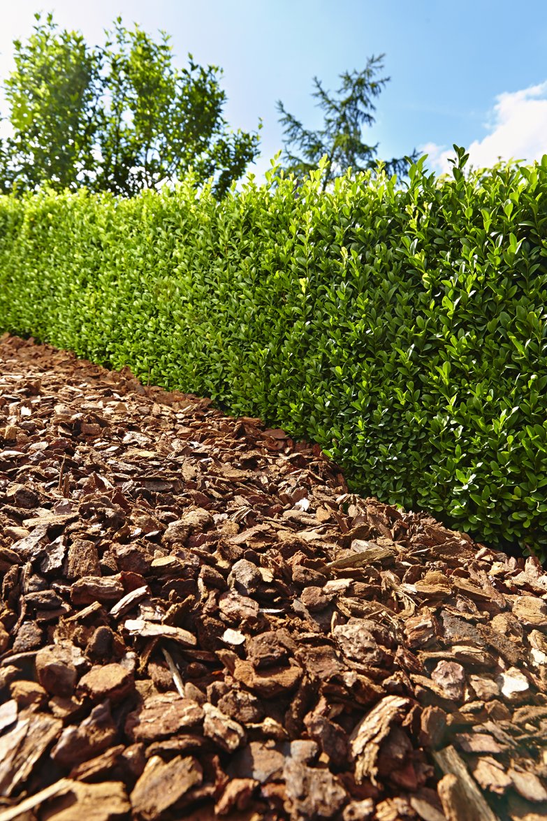 Floragard pine bark 120 L (2×60 L, 15-25 mm) - decorative premium mulch & natural ground cover for beds, planting areas, perennial and woody beds as well as paths - suppresses weeds - 114879