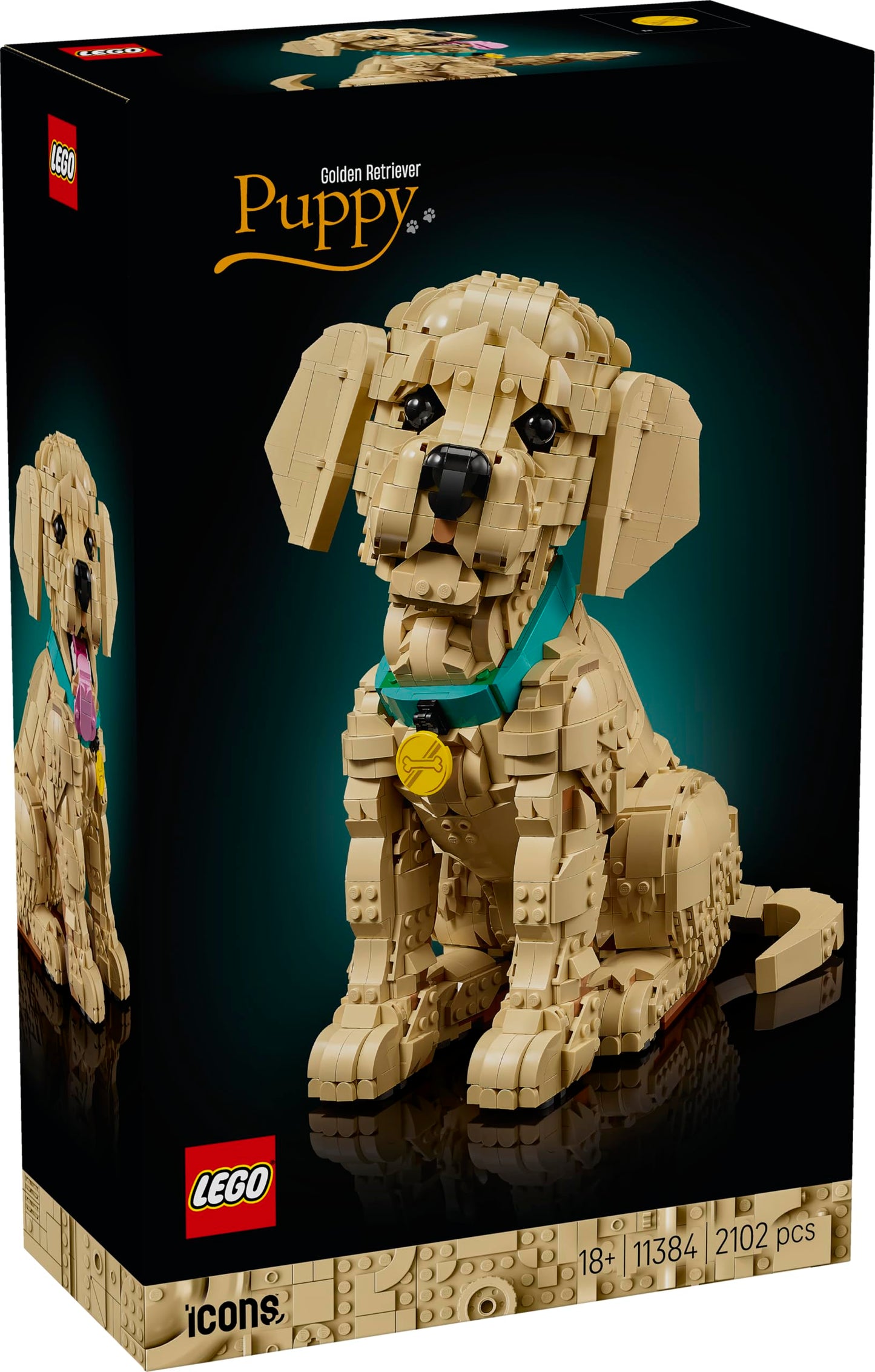 LEGO Icons Golden Retriever Puppy - Model Building for Adults - 3D Animal Figure to Display with Collar & Medal - DIY Decoration for Shelf or Desk - Gift Idea for Art & Craft Fans - 11384