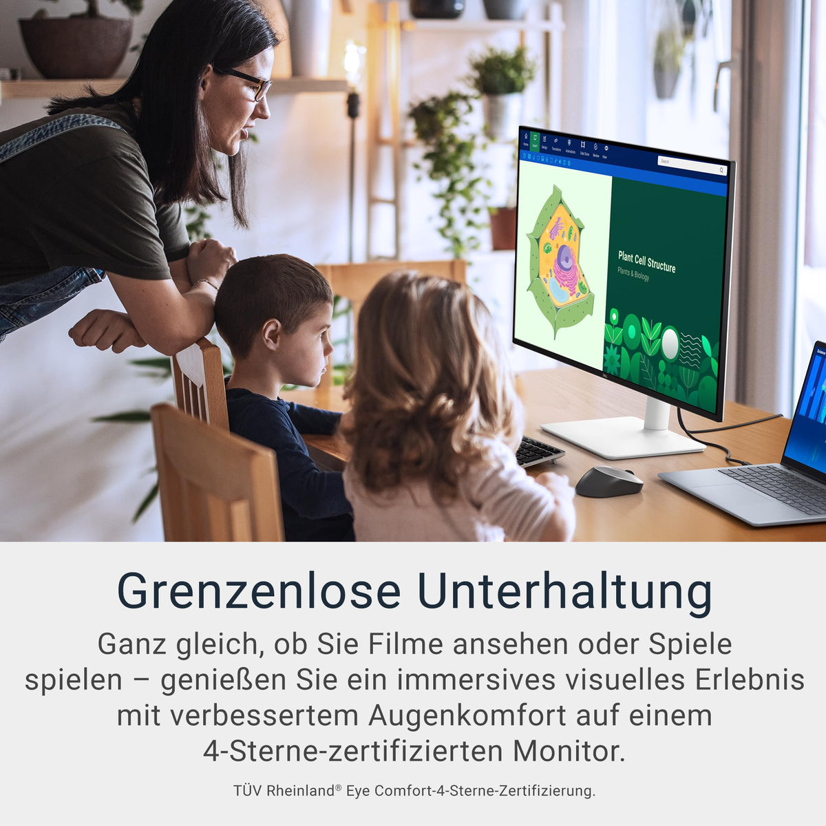 Dell 32 Plus Monitor - S3225QS, 4K UHD (3840x2160), 120Hz, VA, 4ms