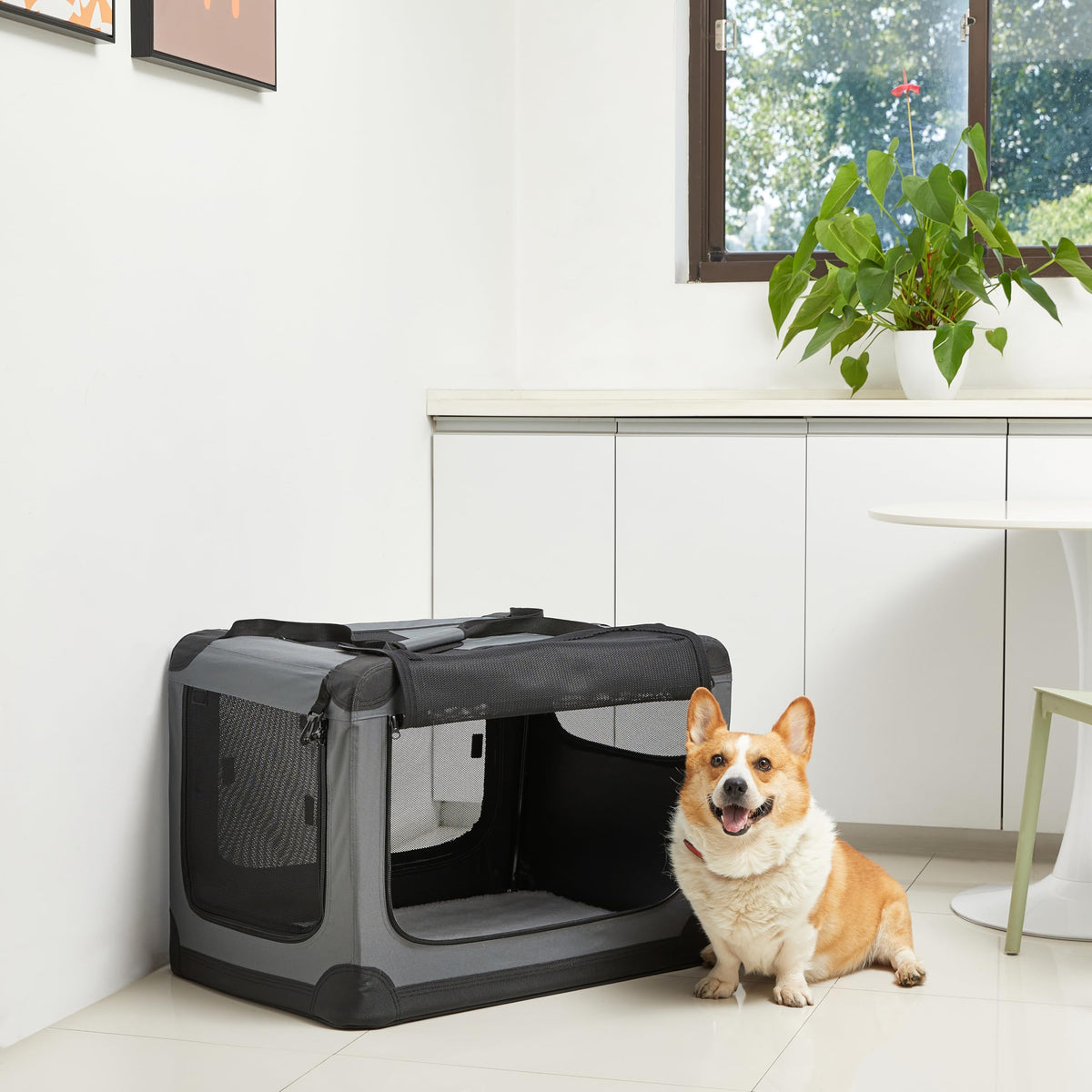 Amazon Basics Zwinger pliabil cu 4 uși pentru câini, pisici, iepuri și alte animale mici, gri, M 76 cm x 54 cm x 54 cm - 12002N-30-APL