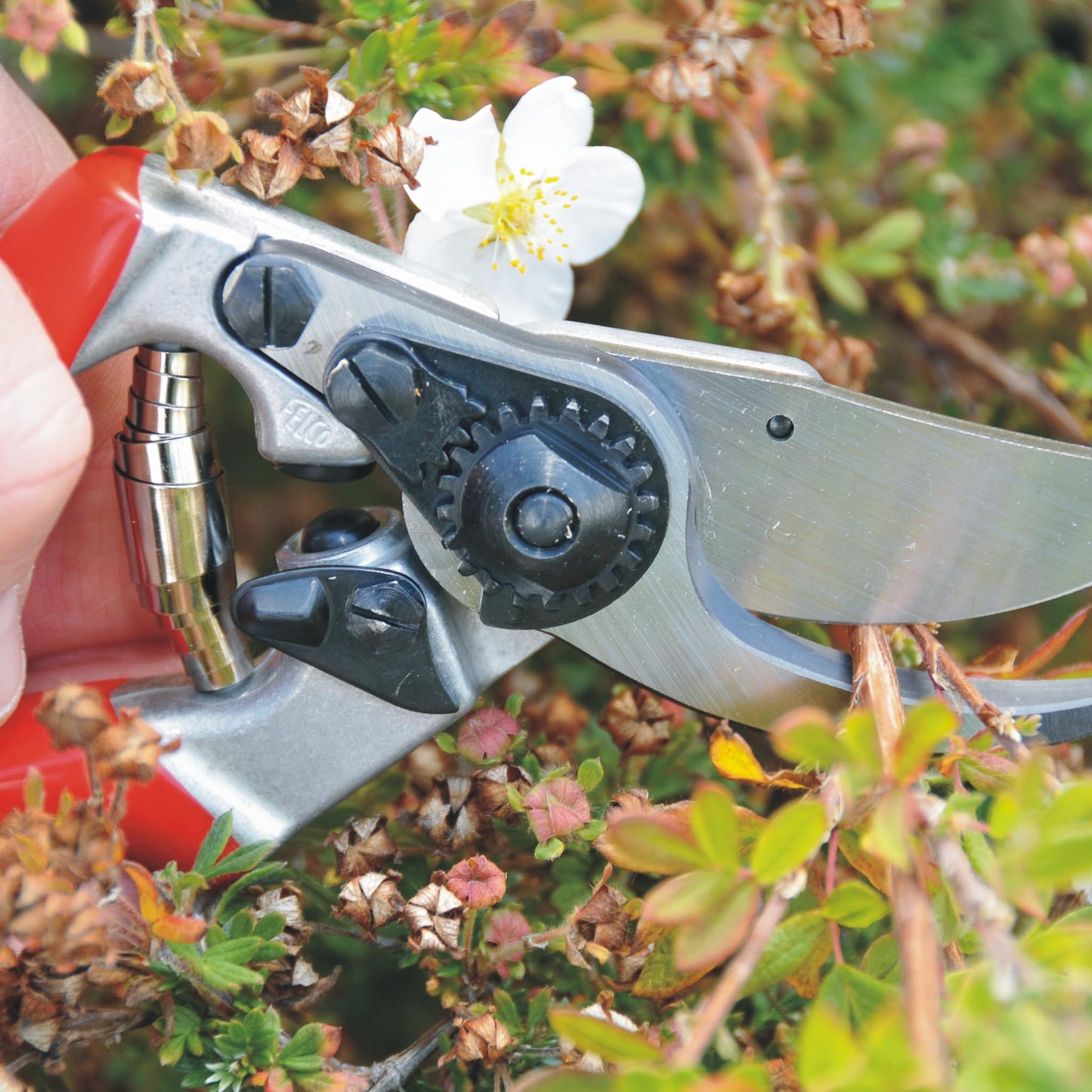 FELCO 9 left-handed bypass secateurs, ergonomic for large hands, 52mm steel blade, 25mm cutting diameter, shock absorber, forged aluminum handles, angled cutting head, Swiss Made - F-9