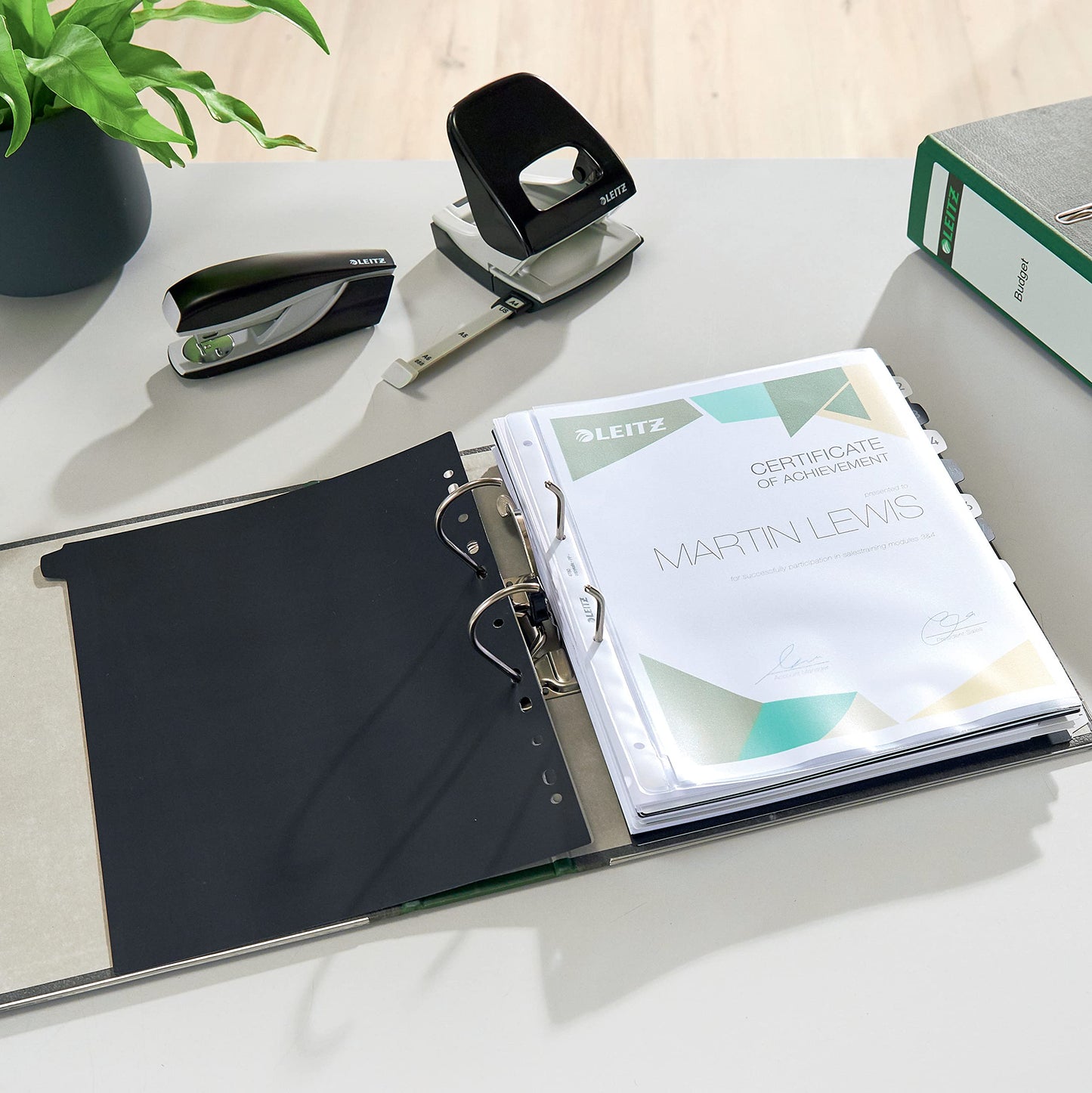Leitz quality folders 180°, pack of 20, A4, 100 percent recycled cardboard, 8 cm spine width, cloud marble paper, green spine, 10805055 - 10800055