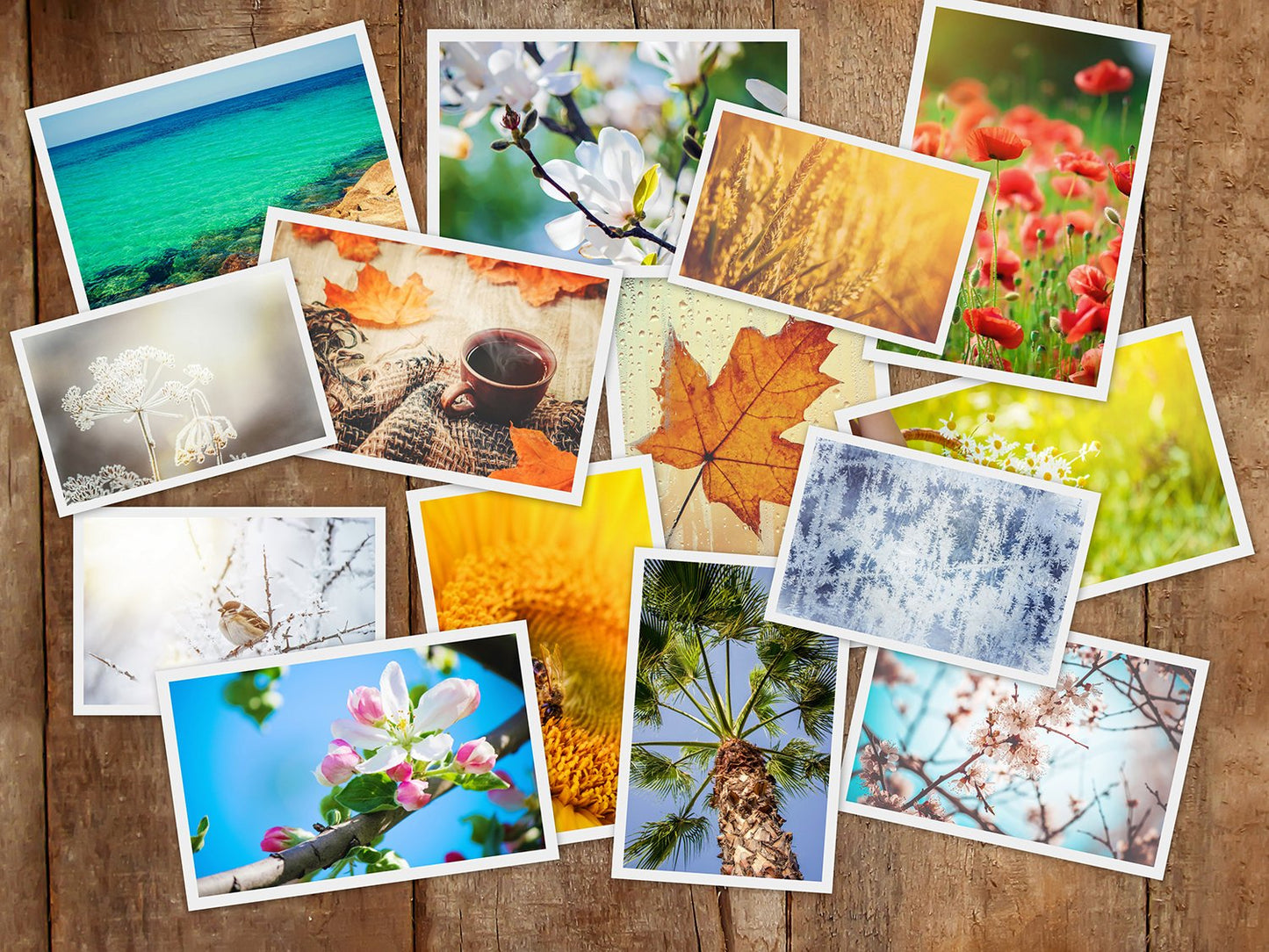 KODAK 2 x 3" (5.1 x 7.5 cm) Premium ZINK Adhesive Backed Photo Paper (20 Sheets), Compatible with Kodak Step, Step Slim, Printomatic, Printomatic+, Smile+, Step Touch - ROD-Z2X320