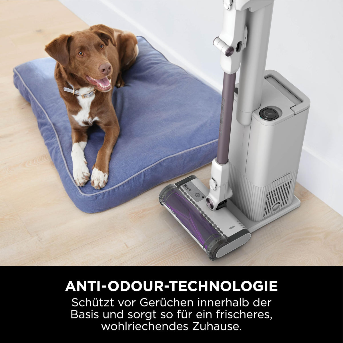 Shark Detect Clean & Empty Cordless Vacuum Cleaner with Docking Station, up to 60 minutes runtime, ideal for pet hair, allergy sufferers, carpets & hard floors, with LED light, 3 attachments, white, IW3613EUT