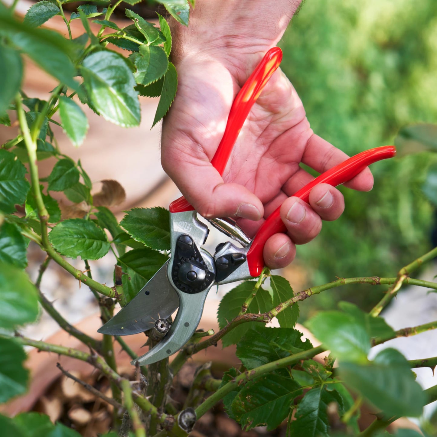 FELCO 2 Professional Right Handed Bypass Pruning Shears, 41mm Hardened Steel Blade, Forged Aluminum Handles, Heavy Duty Tool for Medium to Large Hands, 25mm Cut, Swiss Made - F-2