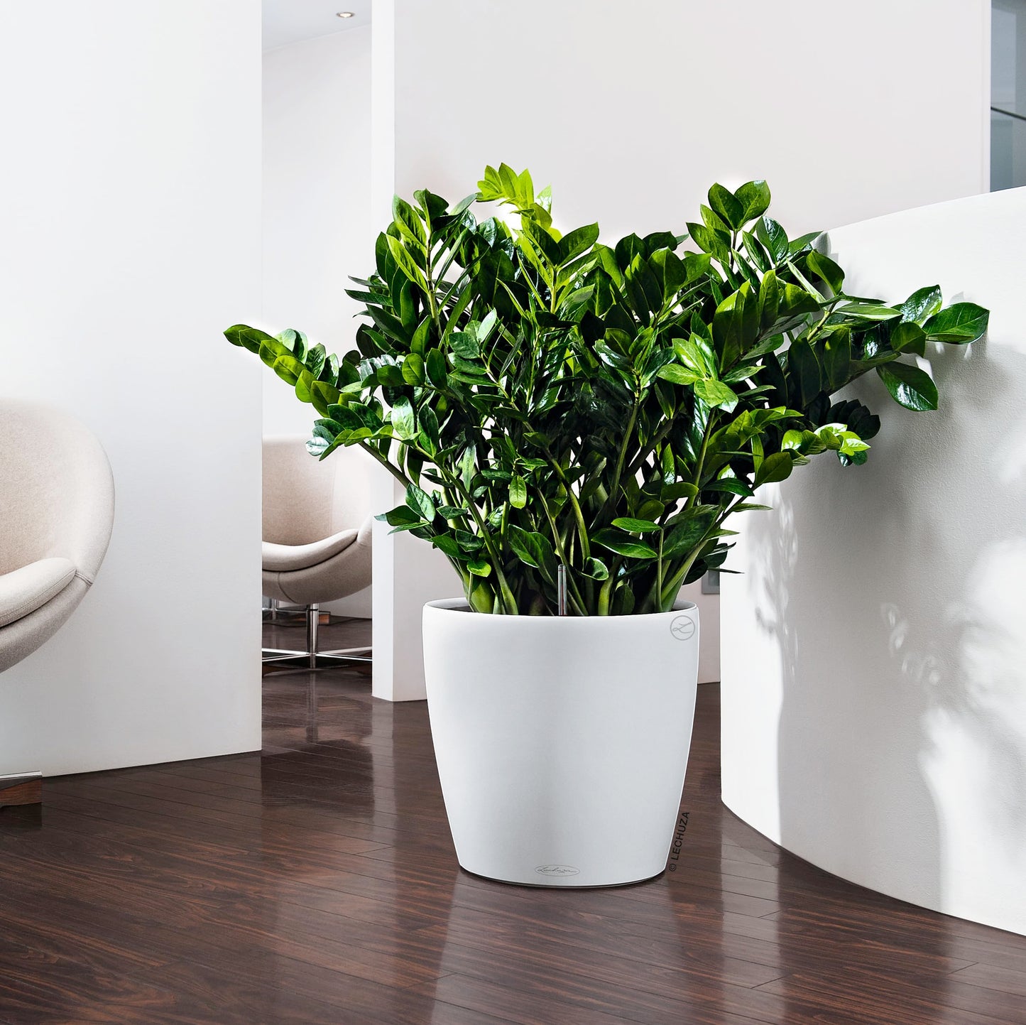 LECHUZA CLASSICO Color 43 white 13230