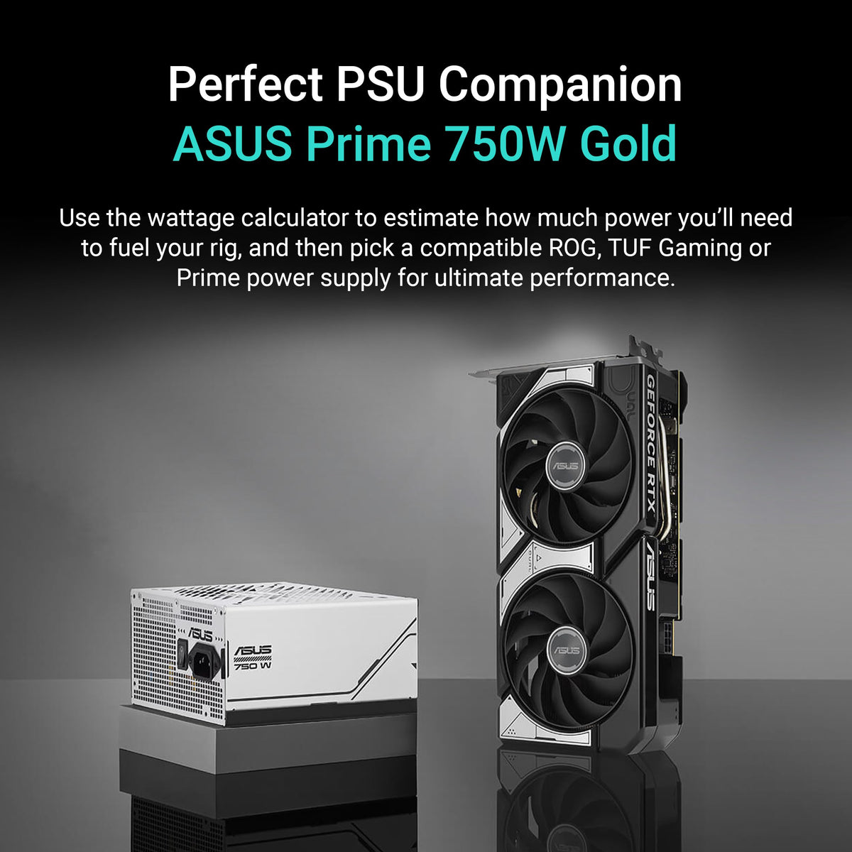 ASUS Dual GeForce RTX 5060 8GB OC Edition GDDR7 Gaming Grafikkarte - 90YV0N12-M0NA00