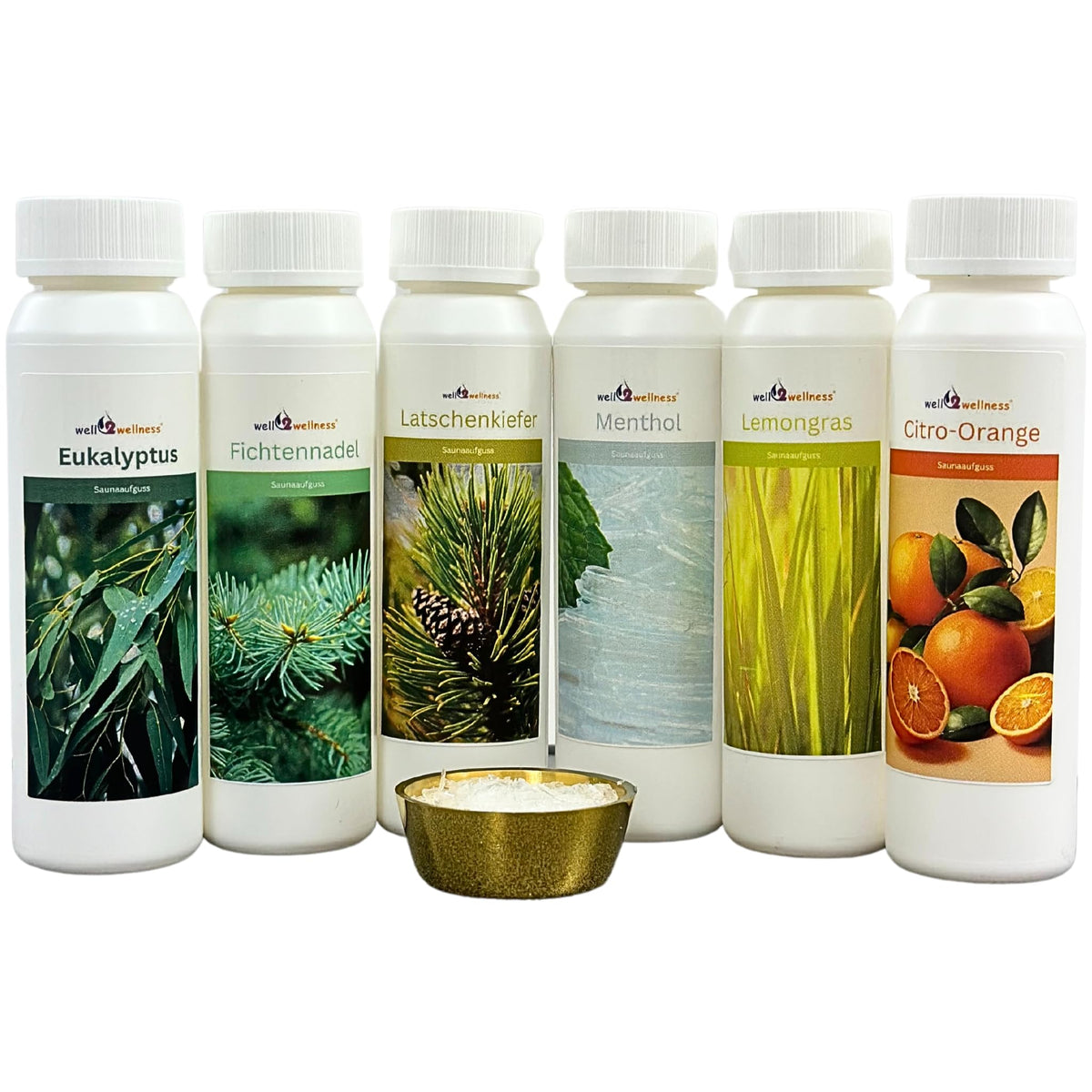 well2wellness® Sauna Infusion Set 'Sample Set/Starter Set' 6 x 125 ml + free 10g Menthol Crystals - SAPS-KL6