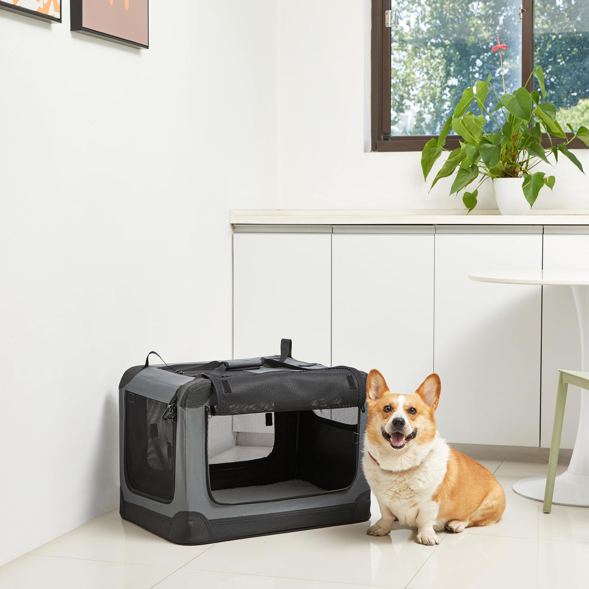 Amazon Basics 4-Door Foldable Travel Crate for Cats, Dogs and Other Small Animals, Gray, S 66 cm x 46 cm x 46 cm - 12002N-26-APL