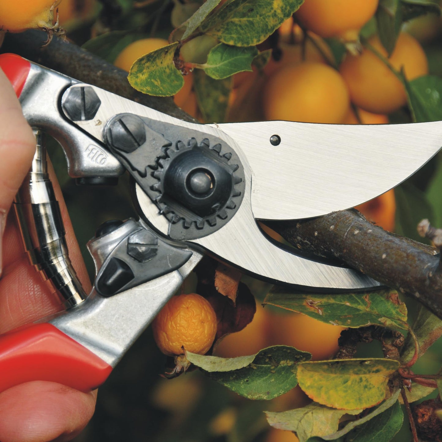 FELCO 9 left-handed bypass secateurs, ergonomic for large hands, 52mm steel blade, 25mm cutting diameter, shock absorber, forged aluminum handles, angled cutting head, Swiss Made - F-9