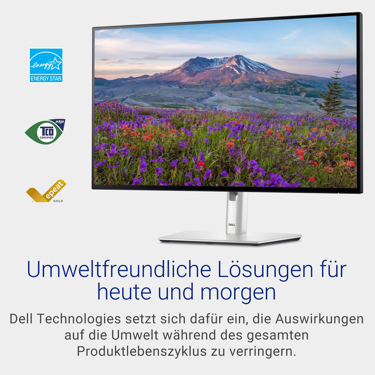 Dell UltraSharp 27 Monitor - U2724D, QHD (2560x1440), 120Hz, IPS Black